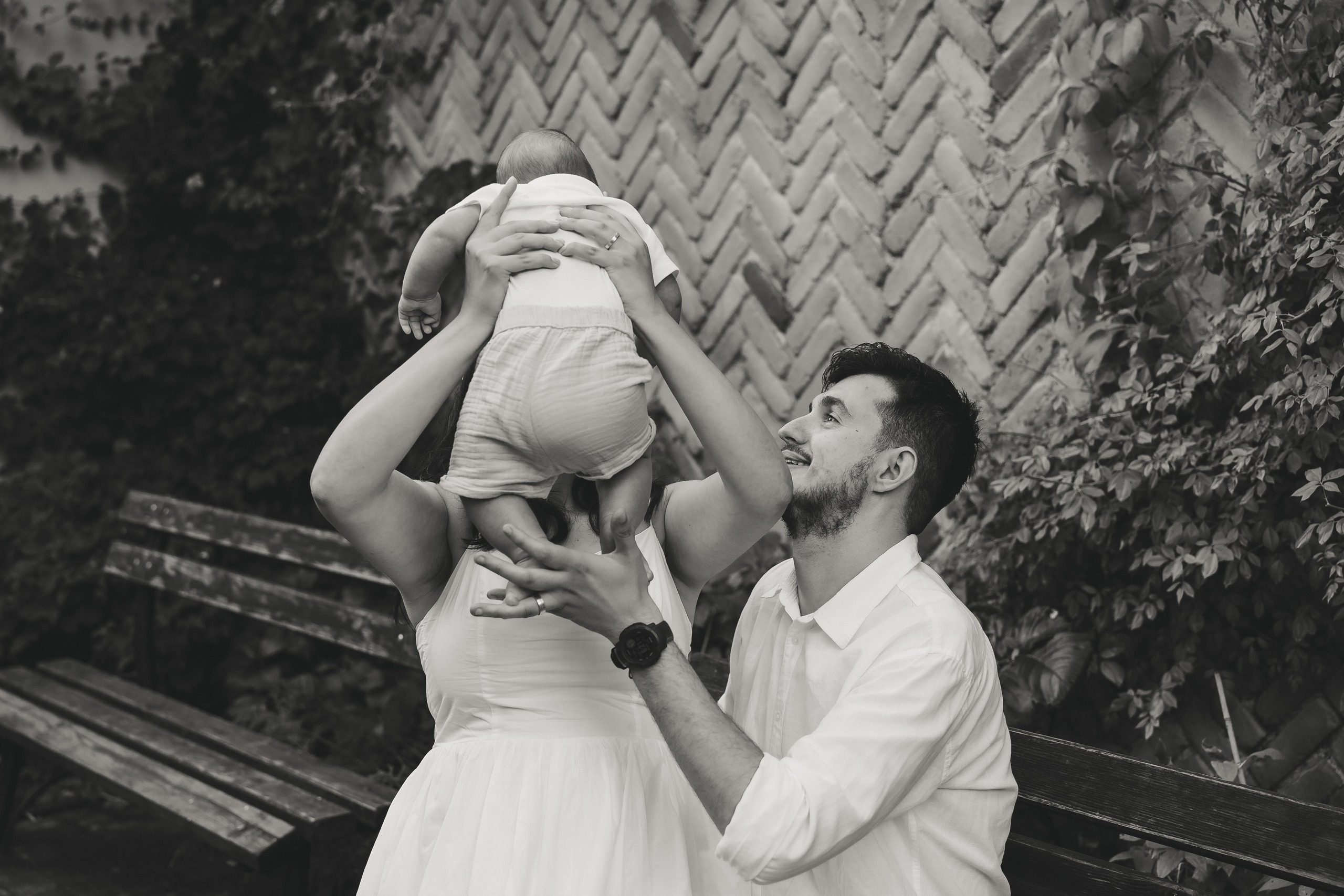 Achim Ioan. Dara Lens