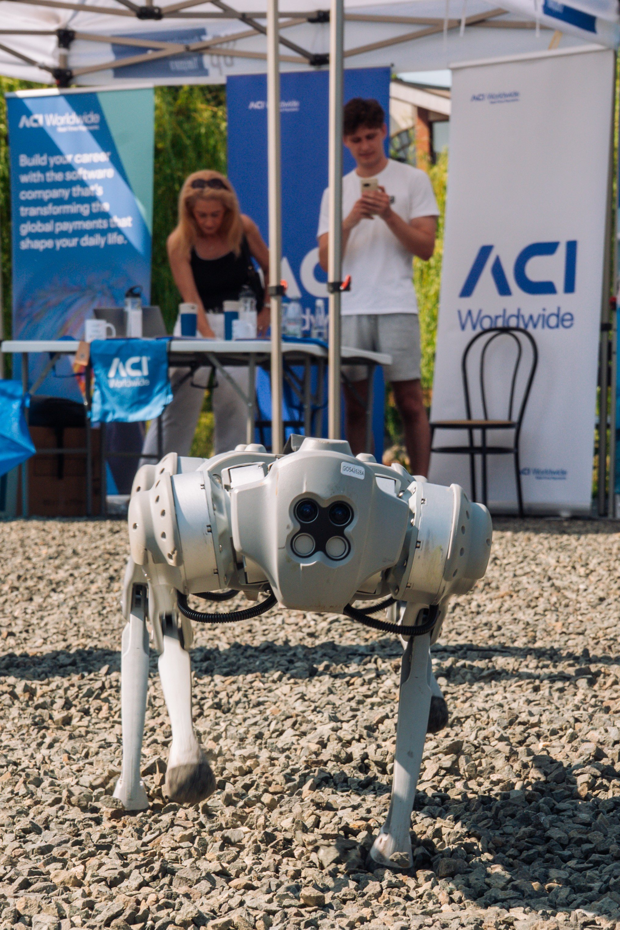 06.04 Bega Boat Race. Cozac Cristian Photographer