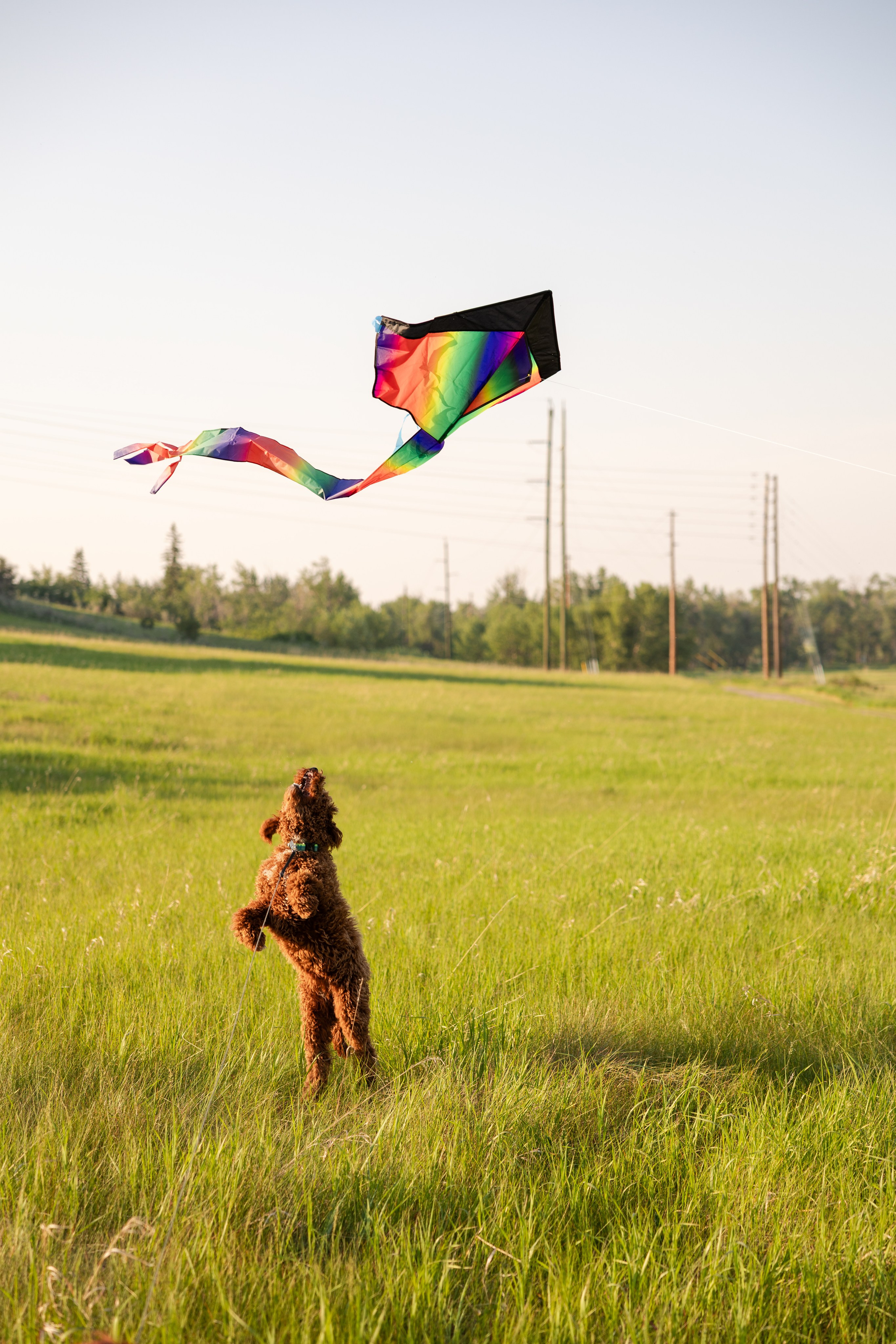 Anna Platon and Bobik. Photographer Stanislav Antonov
