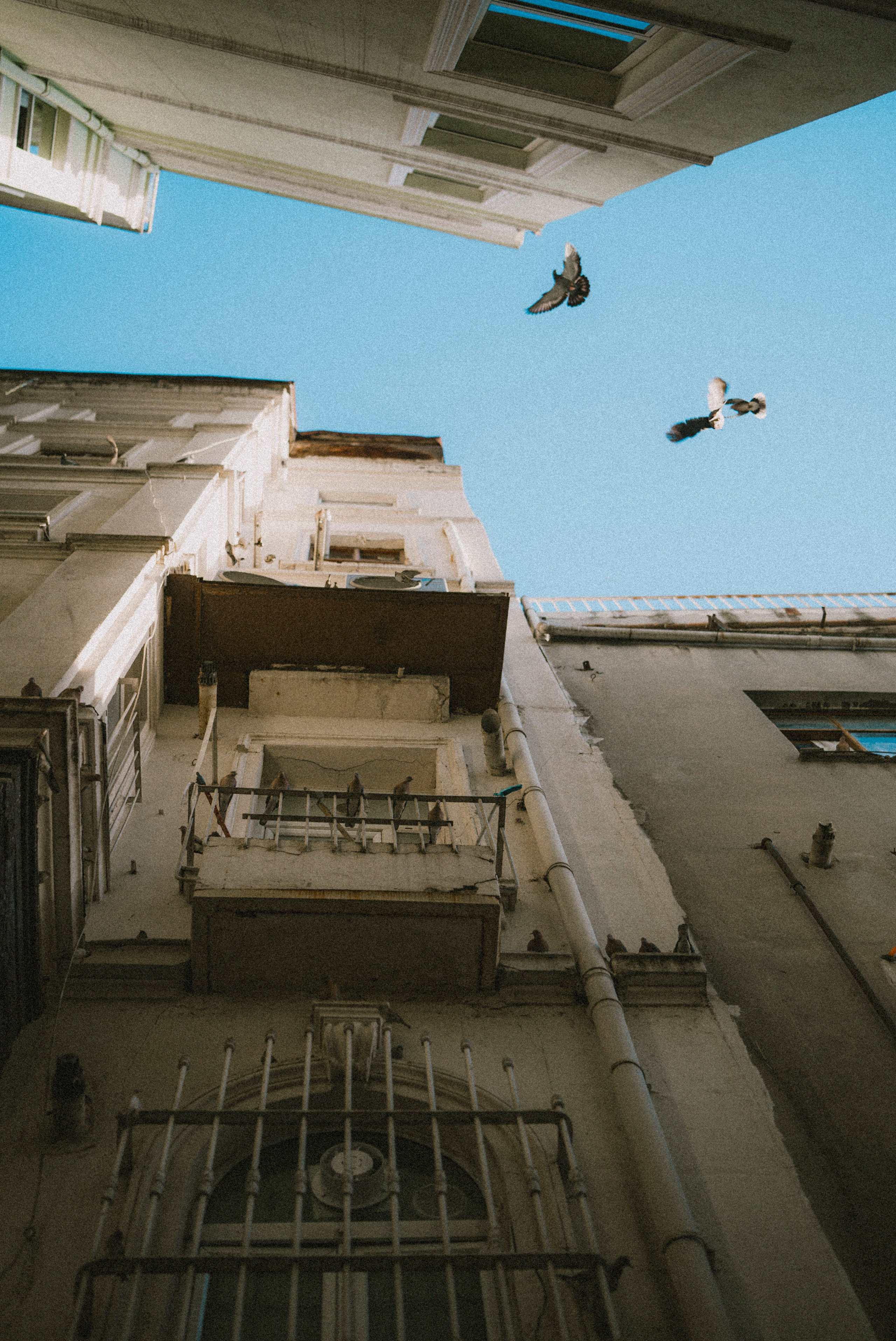 СТАМБУЛ. Стрит-фотография, полная абсурда, идиотизма и красоты