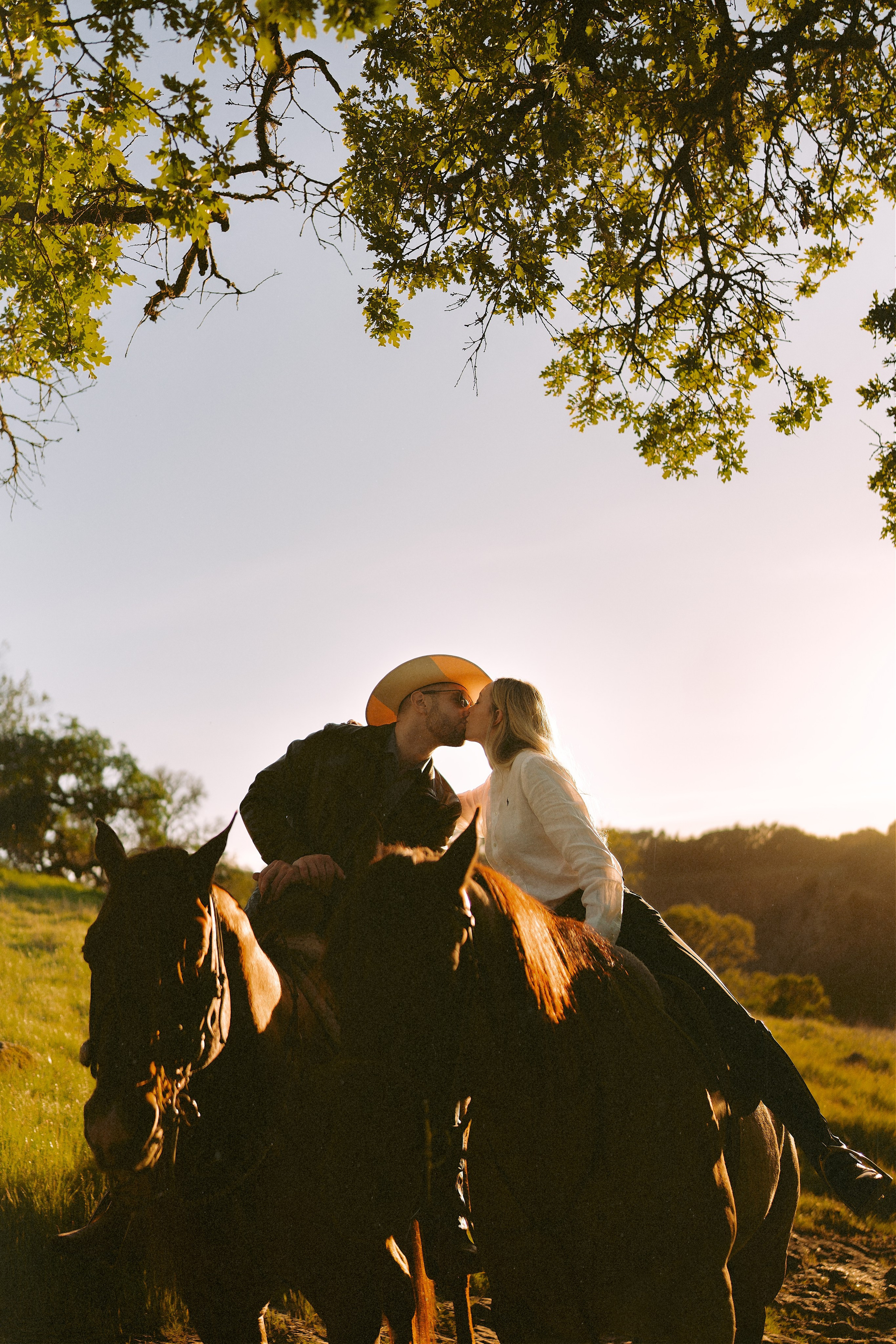 Engagement with Horses, Napa, Northern California. Wedding Photography & Videography Team in California, Los Angeles, San Francisco, San Diego and Travel