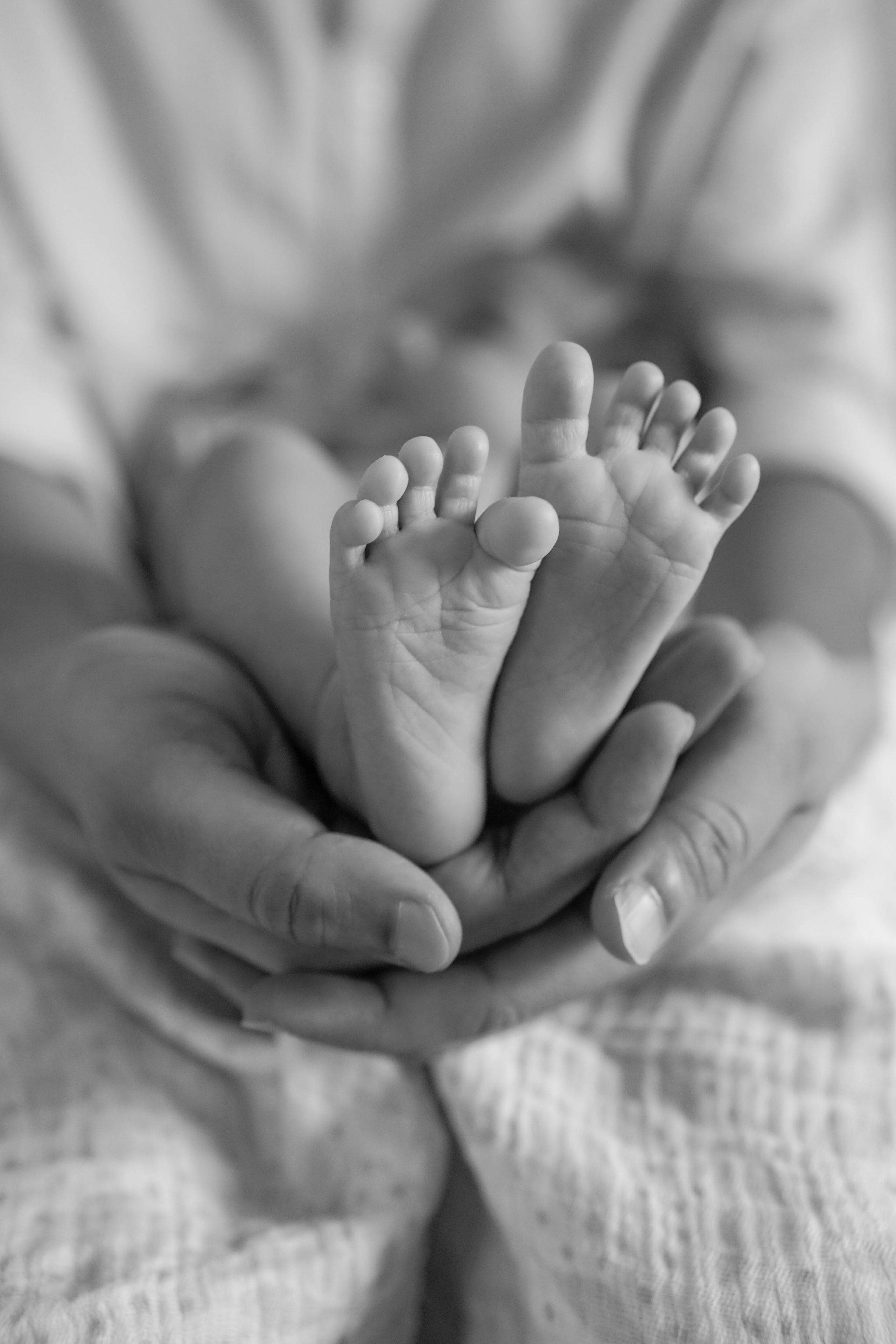 Newborn+Family. Maternity, family and newborn photography in San Francisco Bay Area