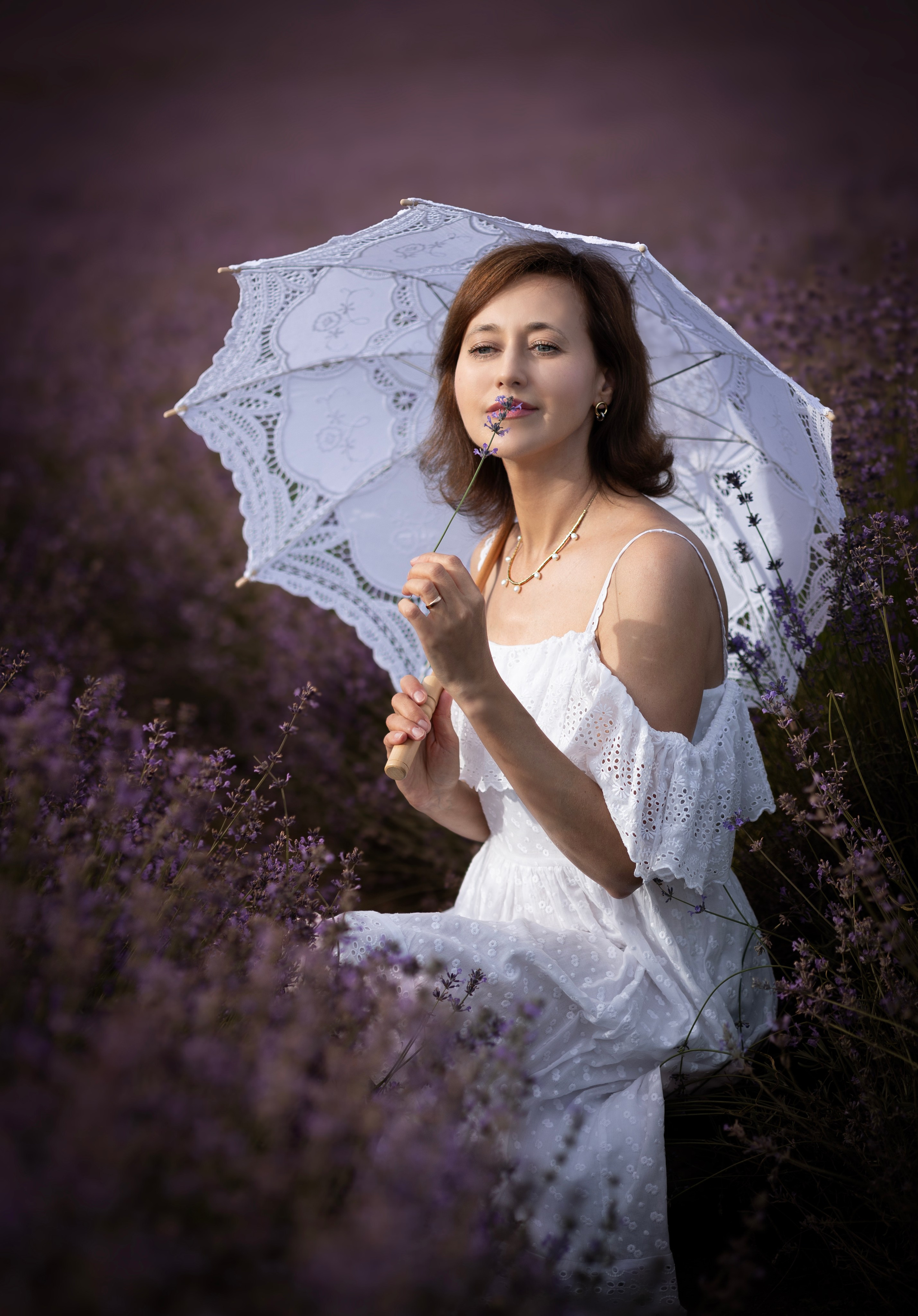 Lavendel. Photographer in Munich