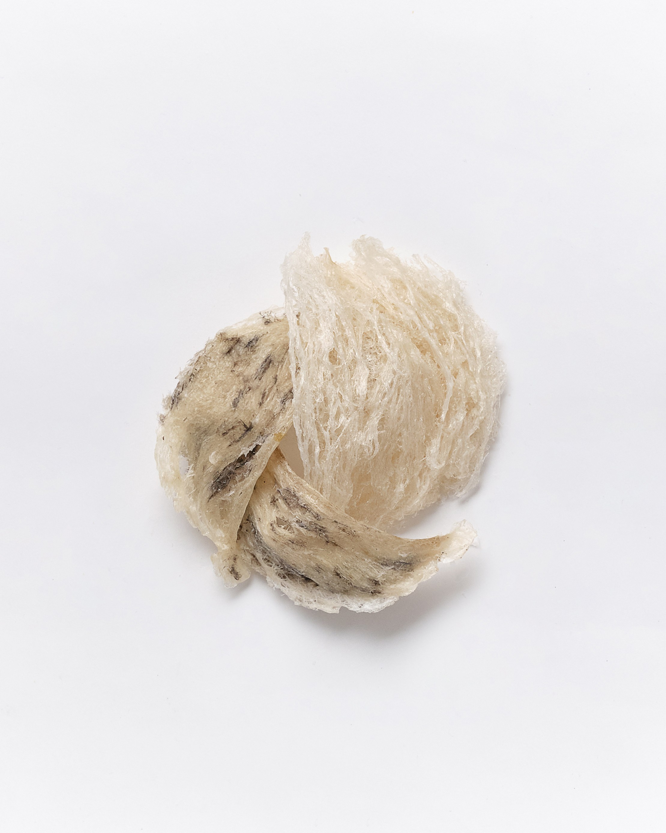 PACKAGING. FINE ART PHOTOGRAPHY