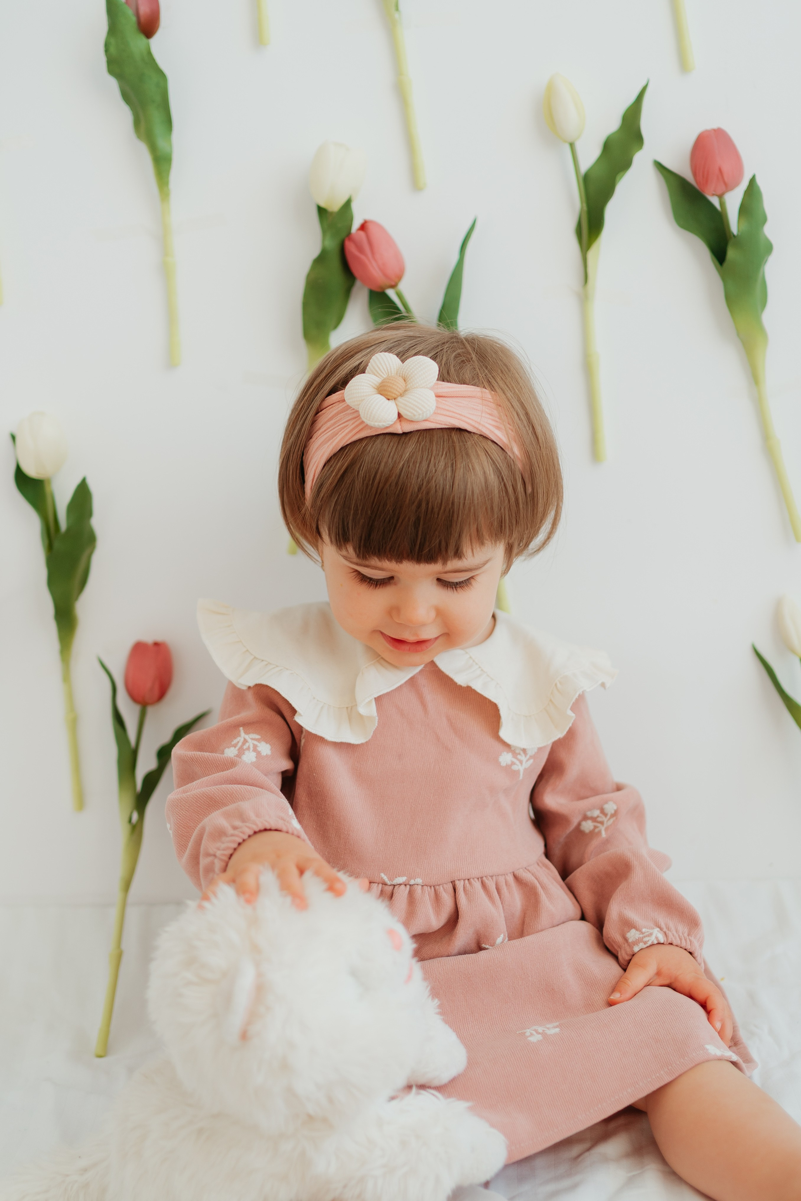 SPRING SESSION. Ars Vidi | Digital Solutions