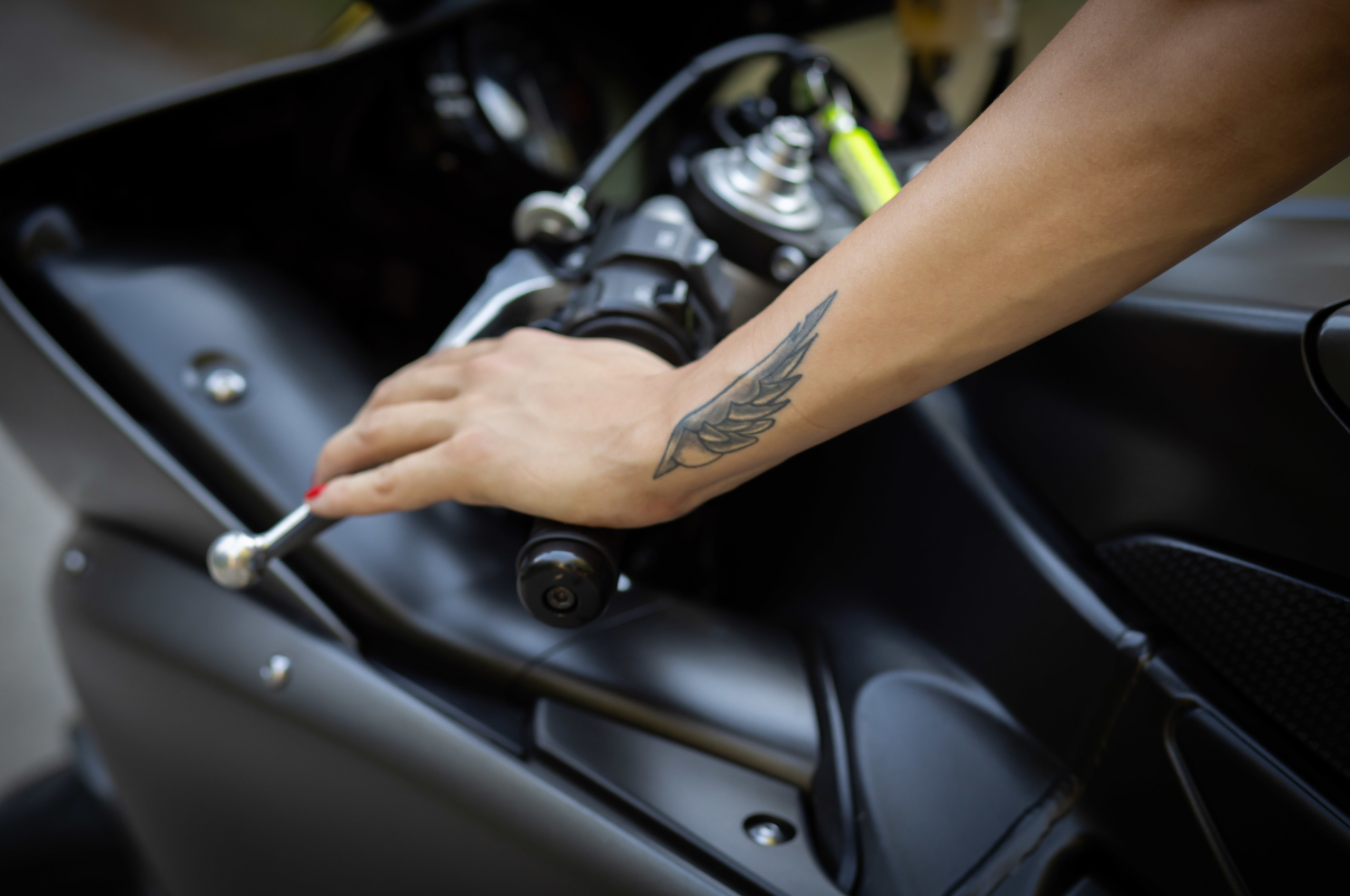 Portrait. Fotografen in Wien