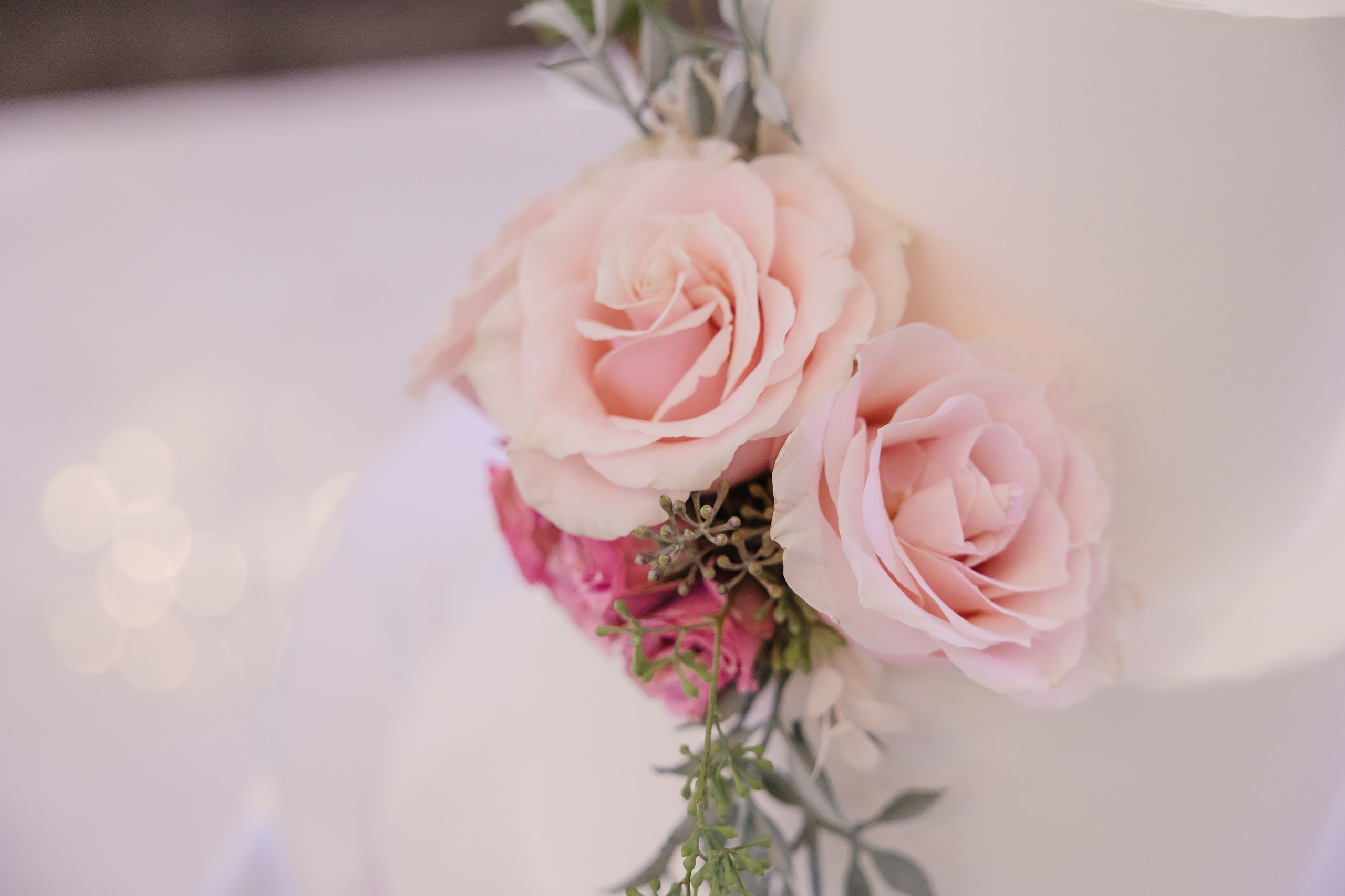 31.08.2024 Wedding. Wedding family event photographer in Chicago Nick Yushevich