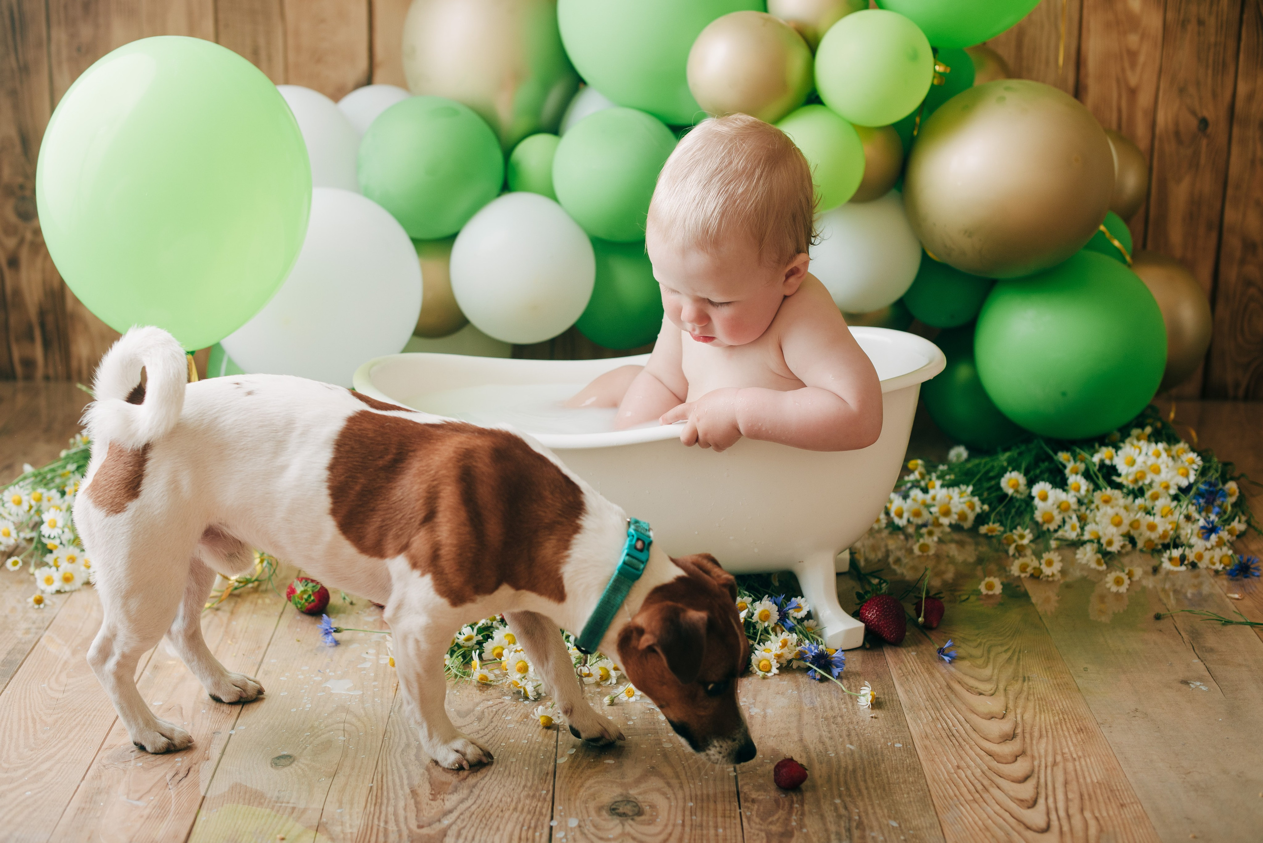 SVYATOSLAV. Https://newbornphoto.wfolio.pro/me