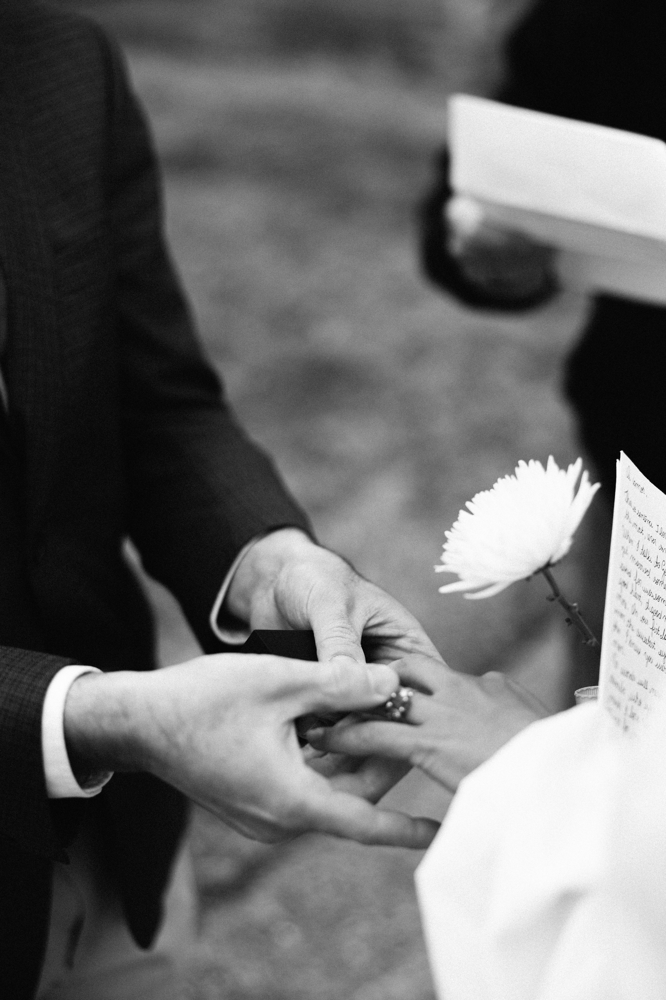 Wedding Julia&Steven. Sara Eulalia | Virginia Photographer