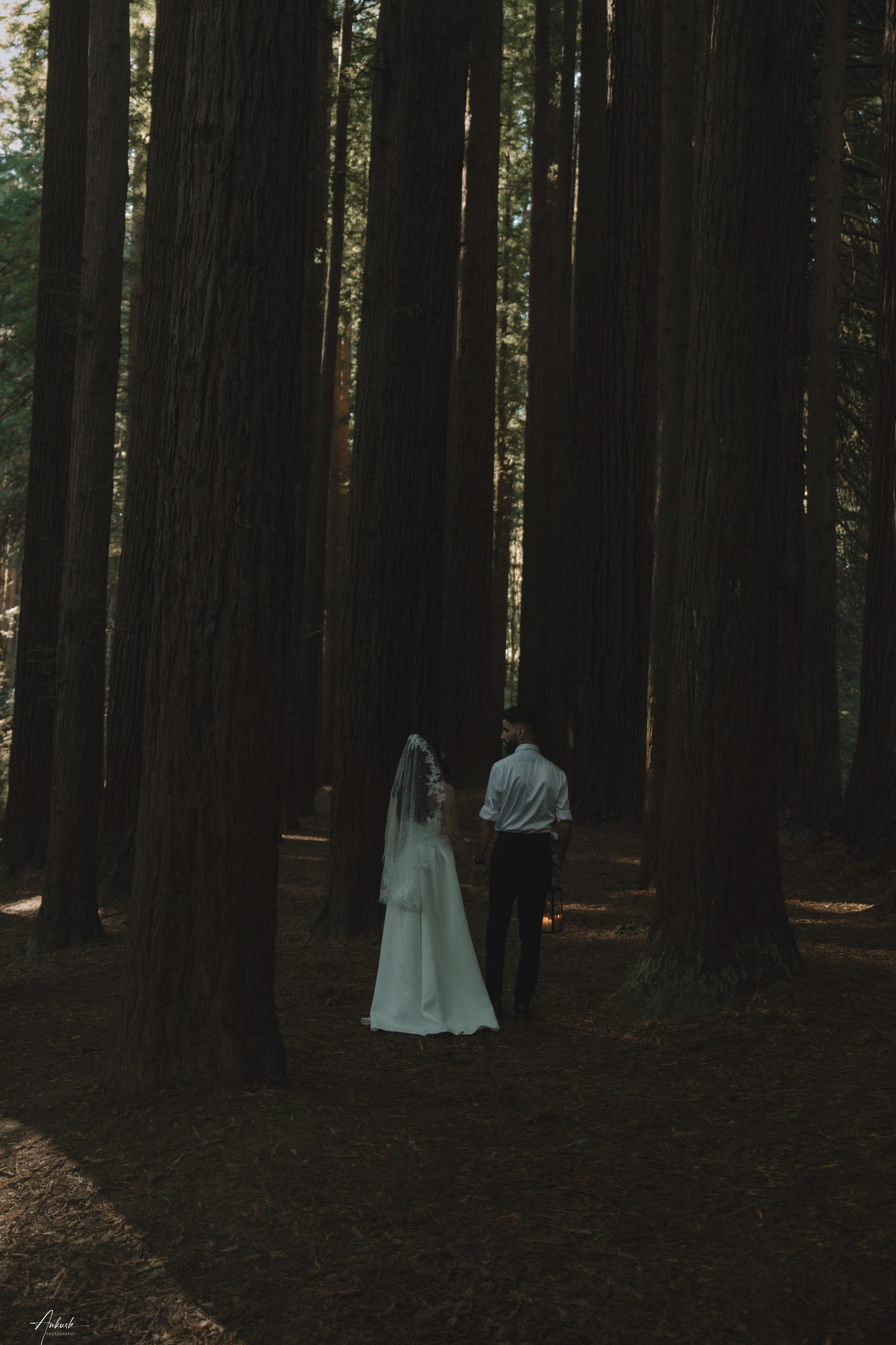 Prewedding. Ankushpatelphotography.AU