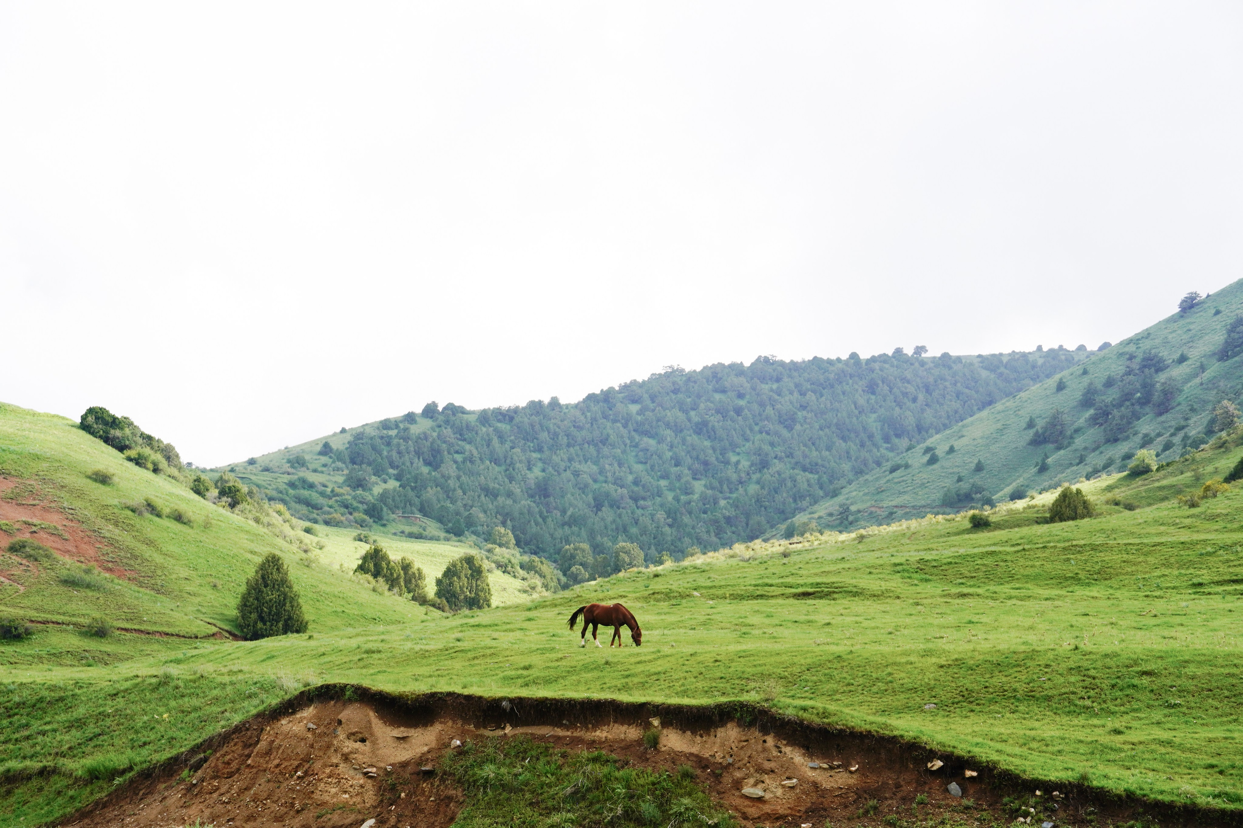 Zaamin Ultra. Melikov Amir, Uzbekistan based photographer