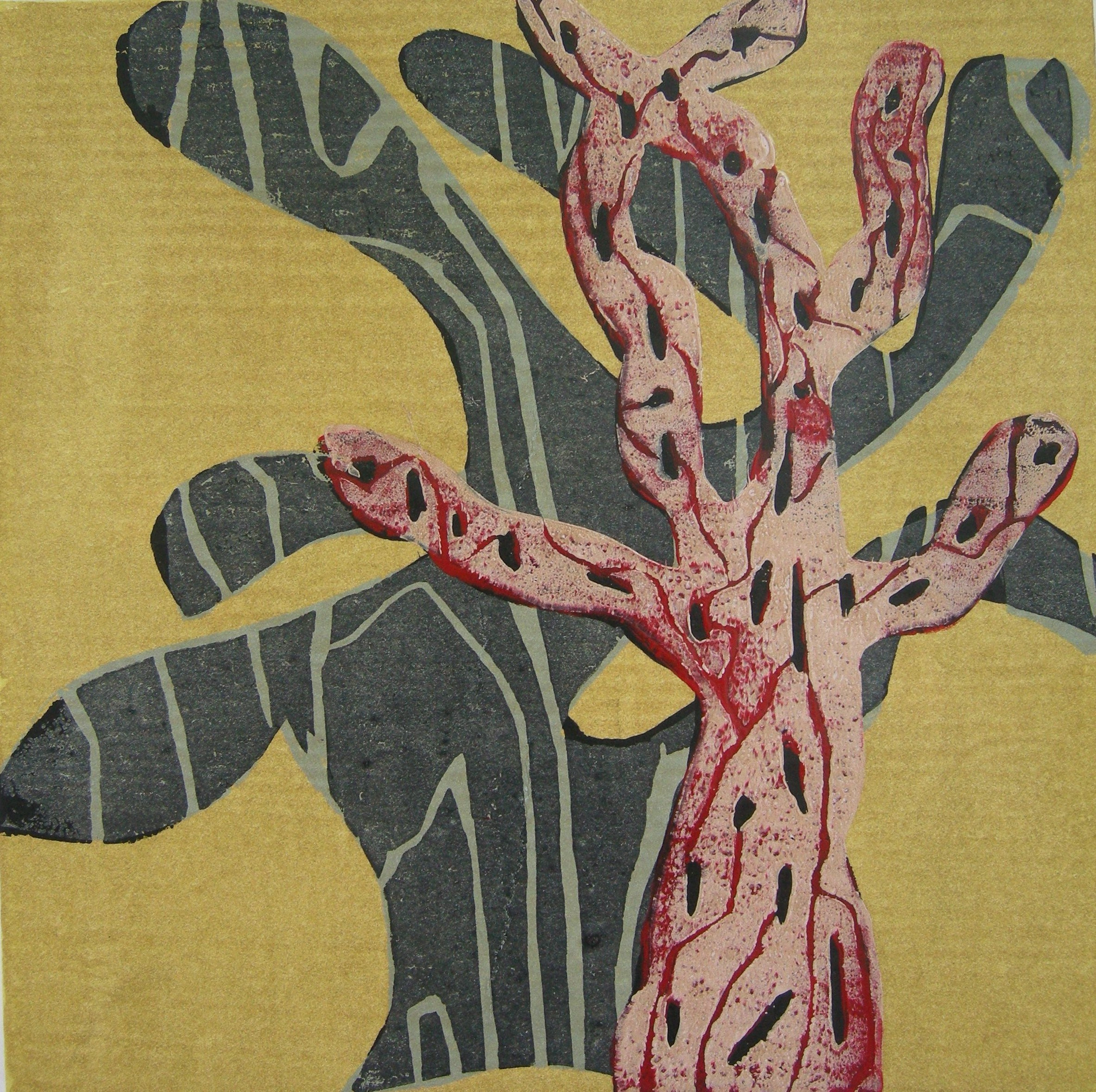 Baum 2014 - 40x40