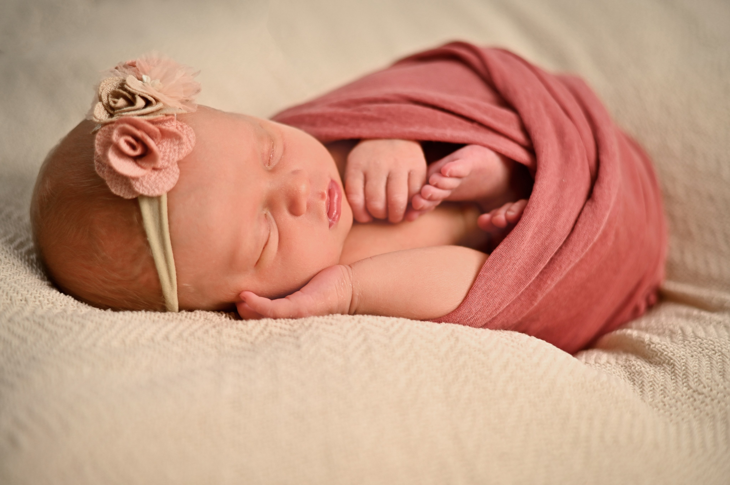 Neugeborene. Lena Horch