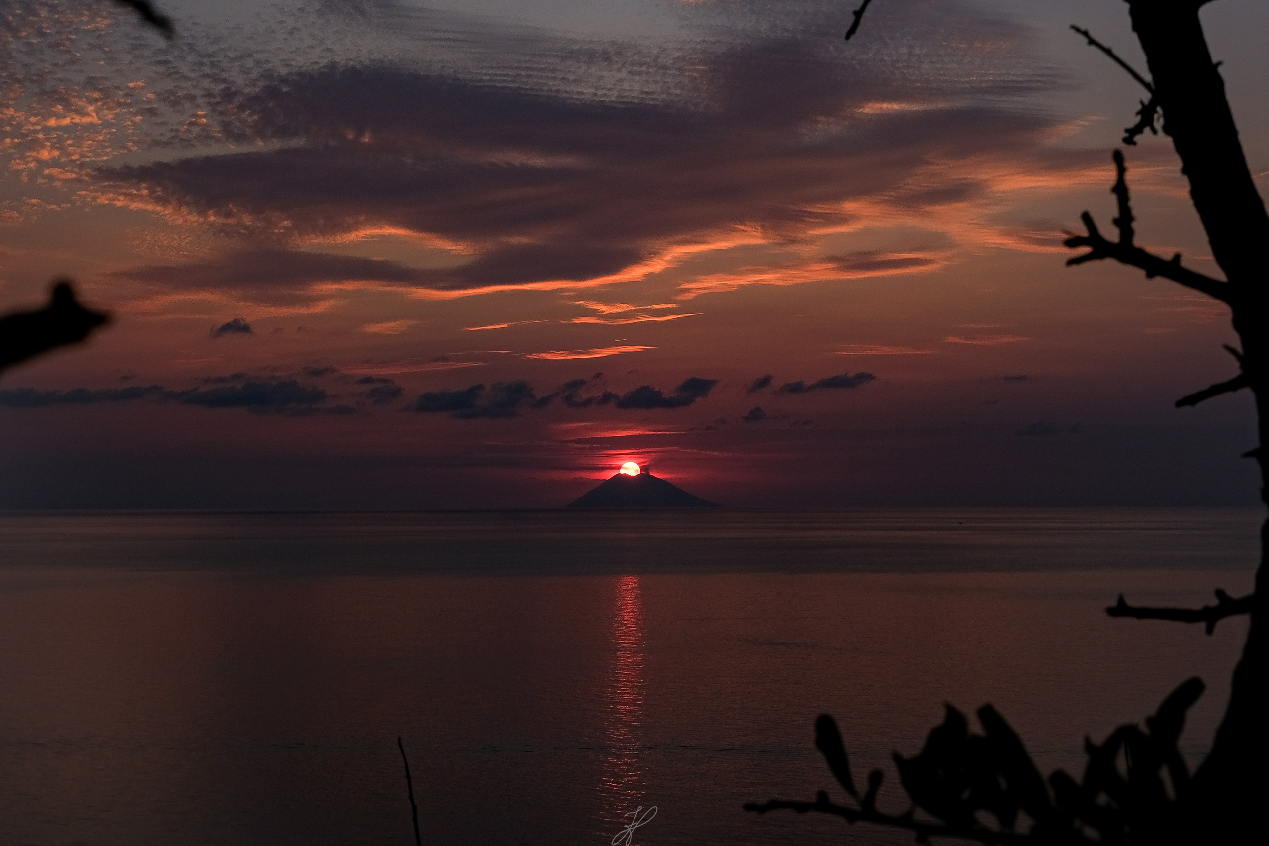 Naturalistica. Frank Prochilo Photography