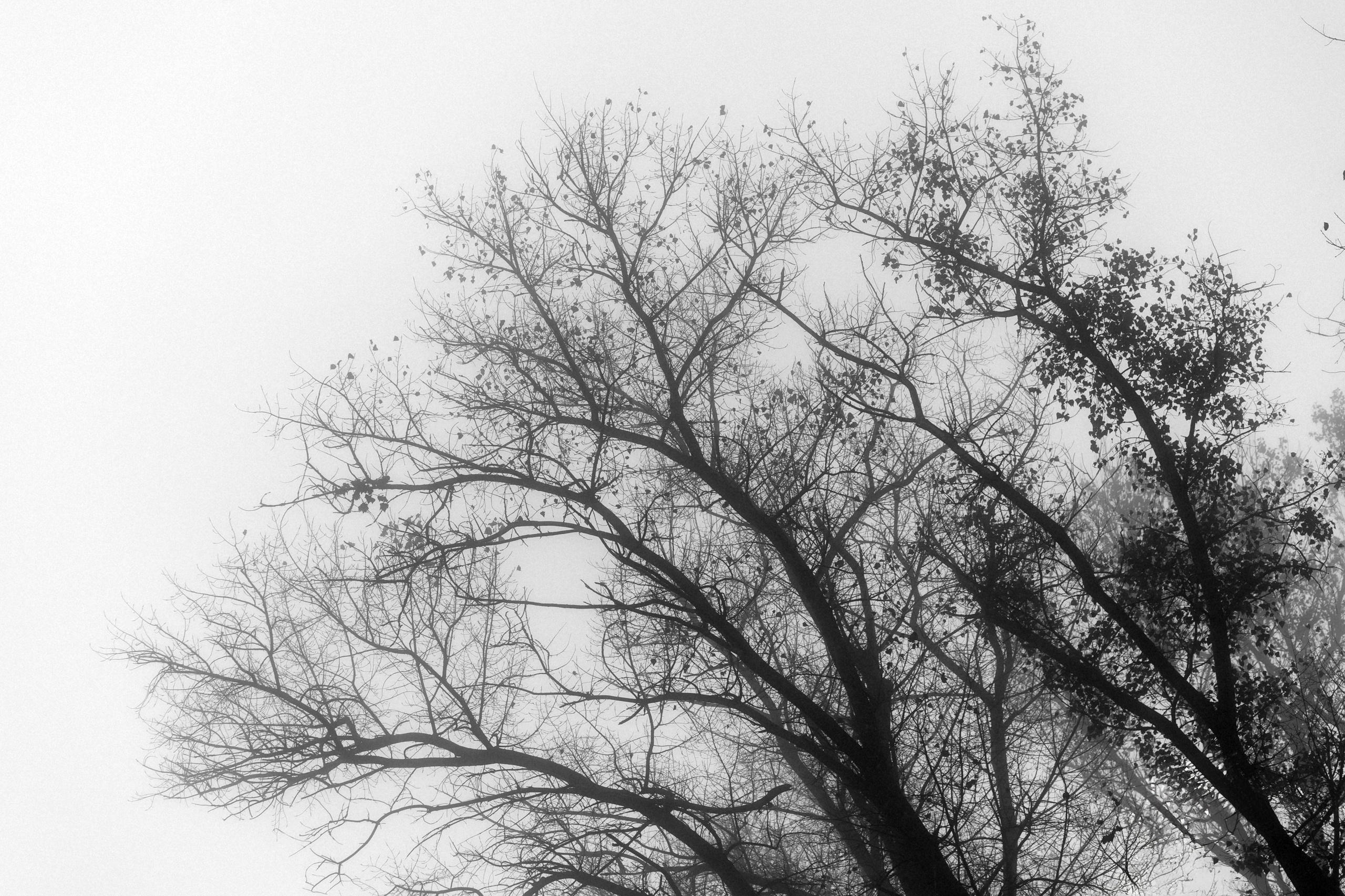 MARIANA — AUTUMN TIME. Fulga Photographer