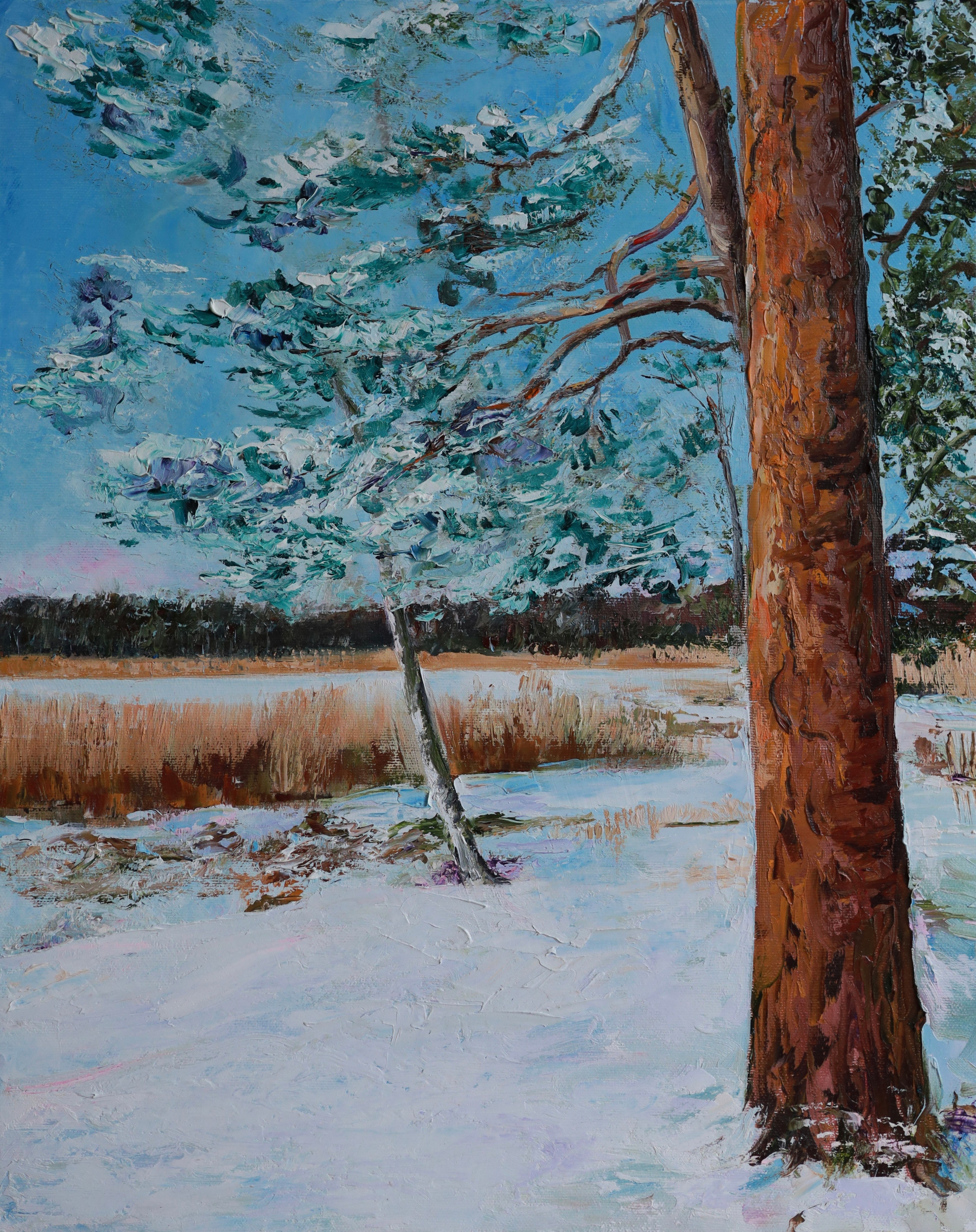 BOROVICE VE SNĚHU. GALA художник из г. Харьков в Чехии