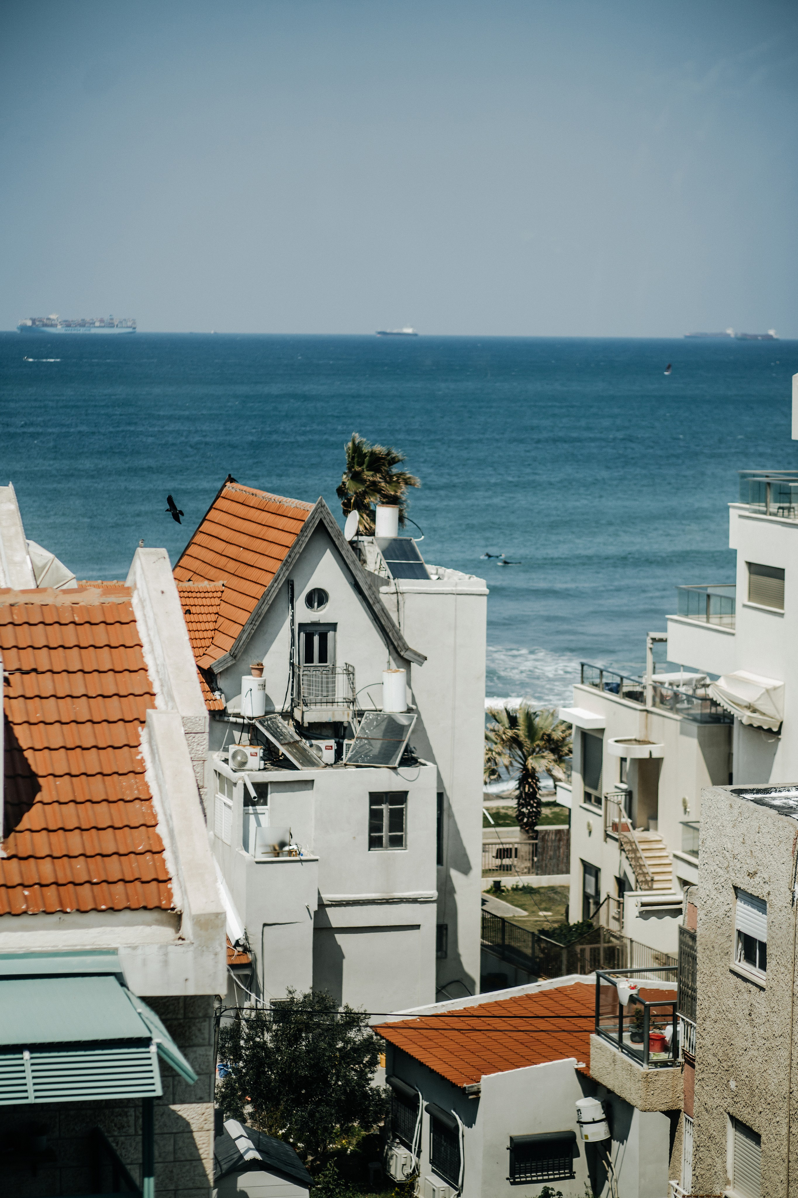 12. Family photographer in Israel