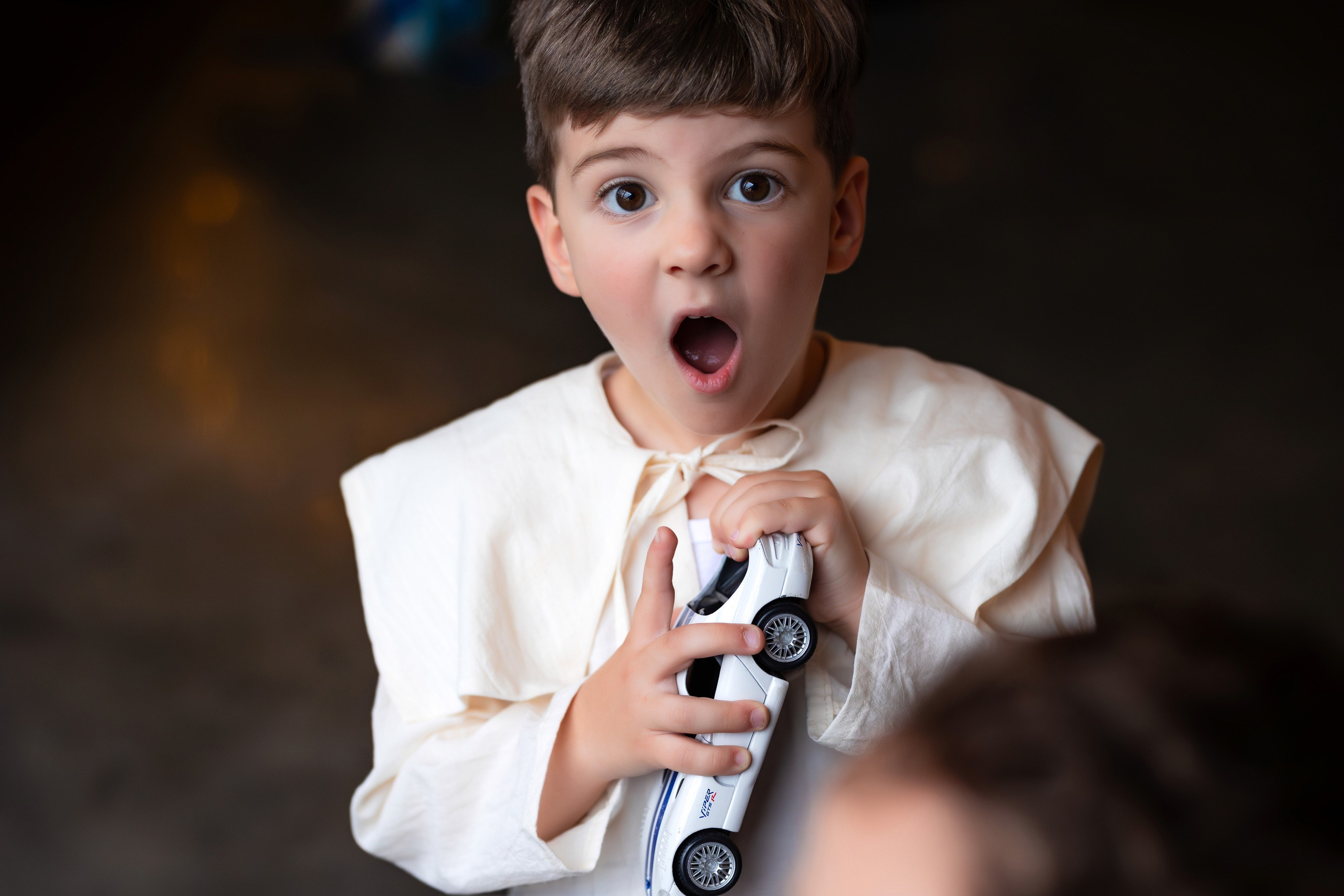 Petrecere Raluca si Paul. Ionut Brehuescu — Fotograf