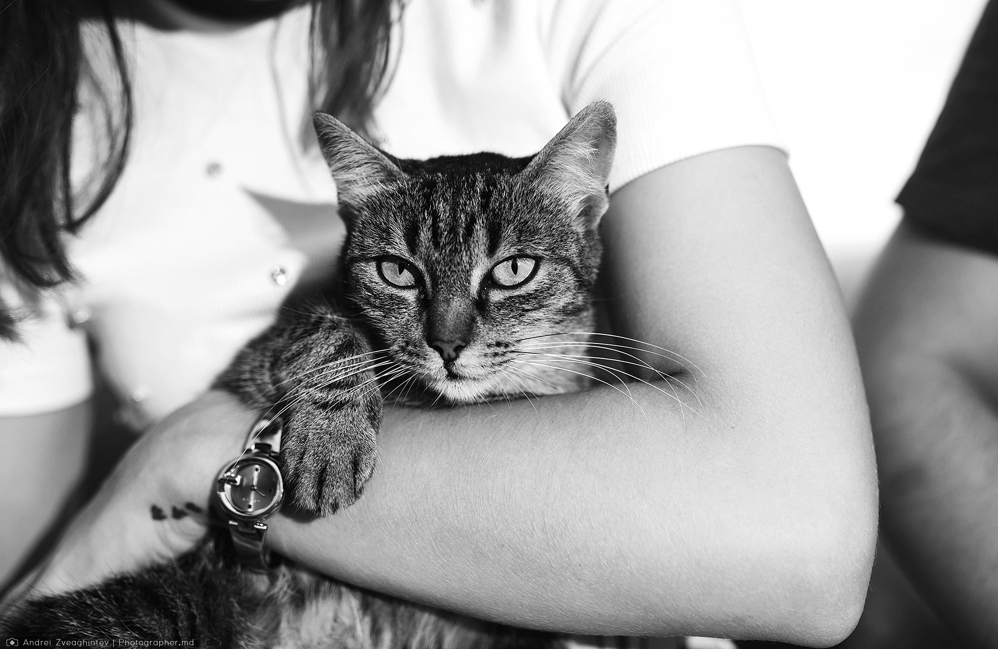 Fotograf nunta in Italia - Andrei Zveaghintev. Fotograf nunta si familie in Moldova, Chisinau - Andrei Zveaghintev