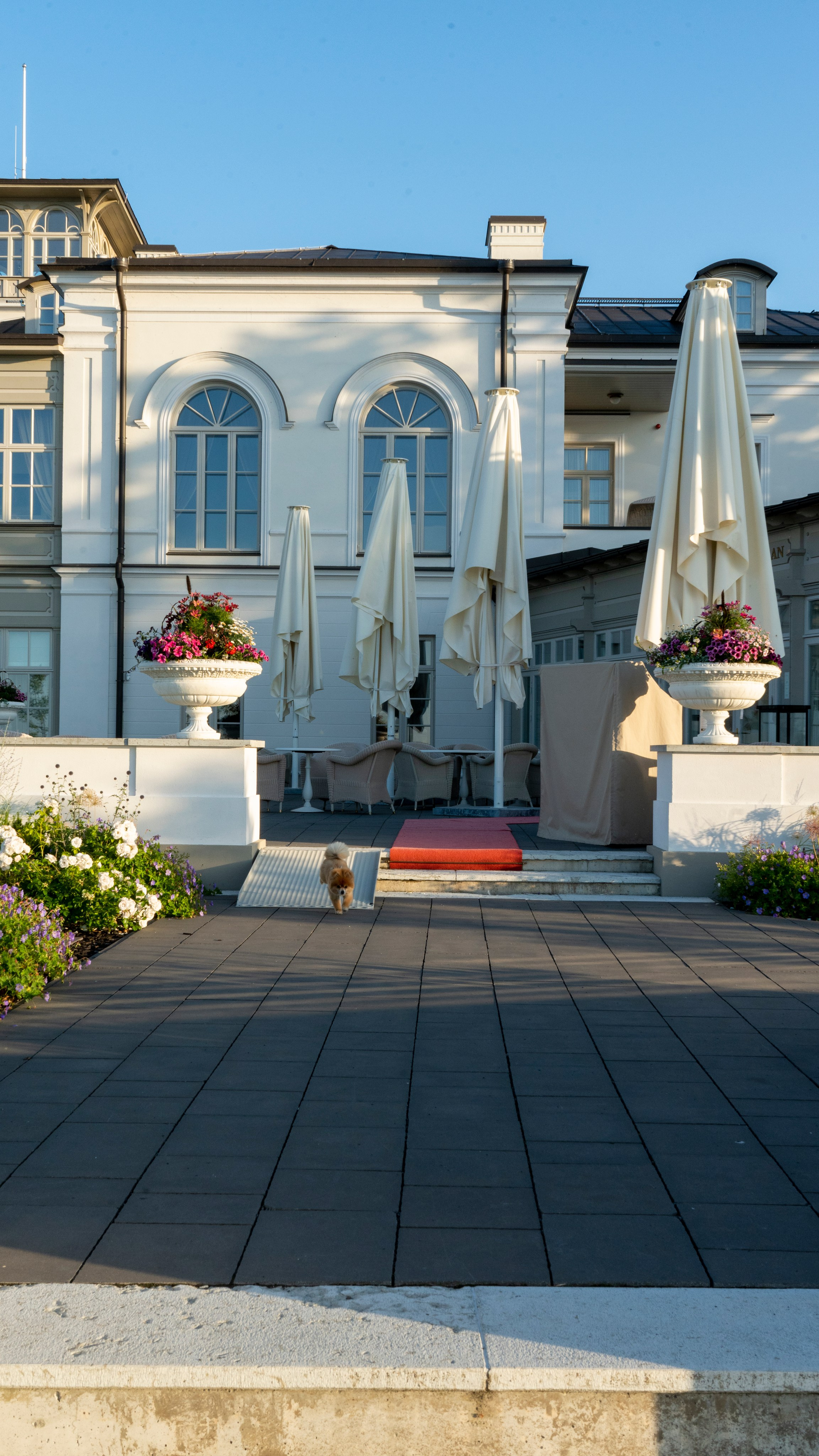 Whispers of Estonia. Photography | Videography | Marketing