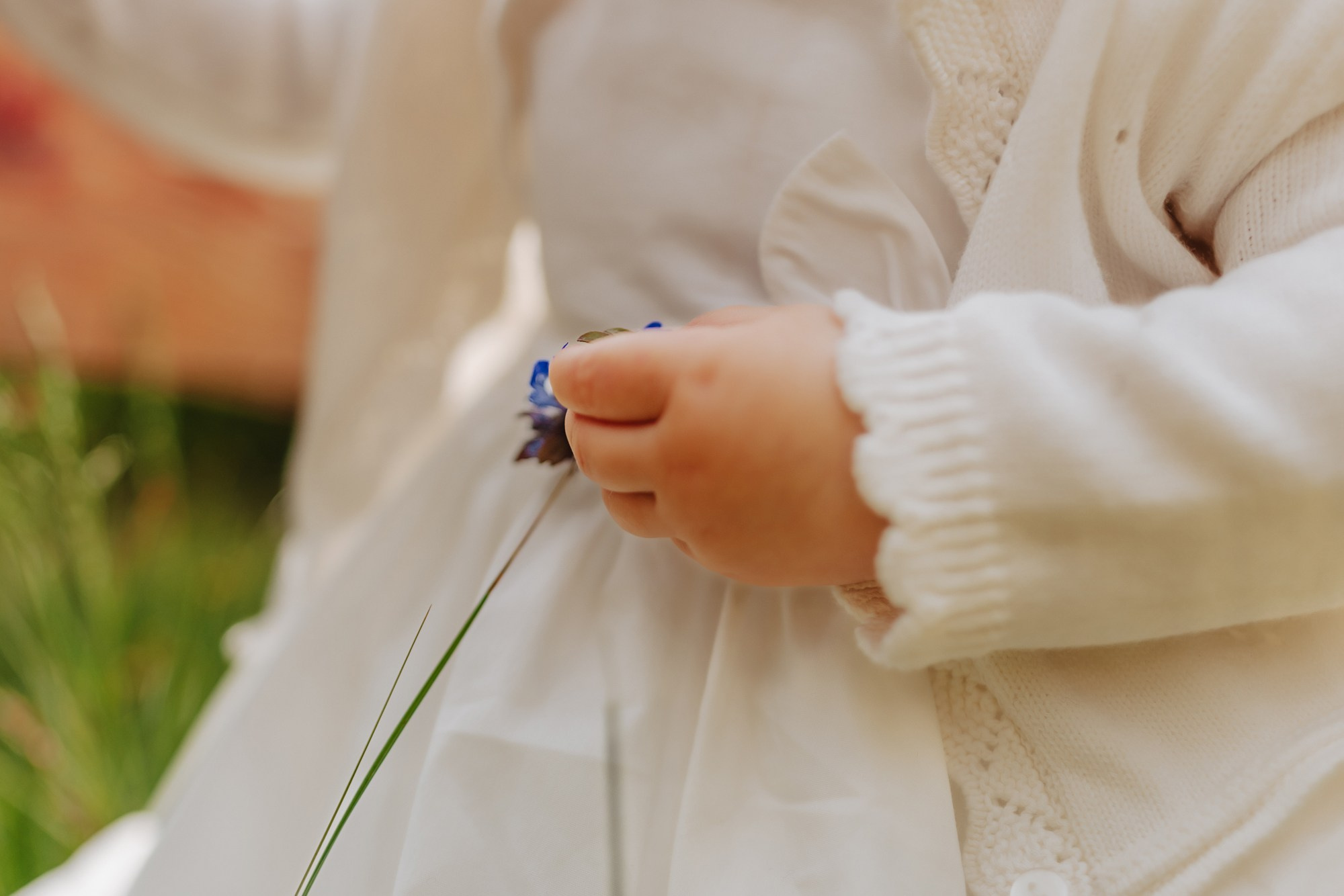 Ilinca. Φωτογράφος και βιντεογράφος γάμου