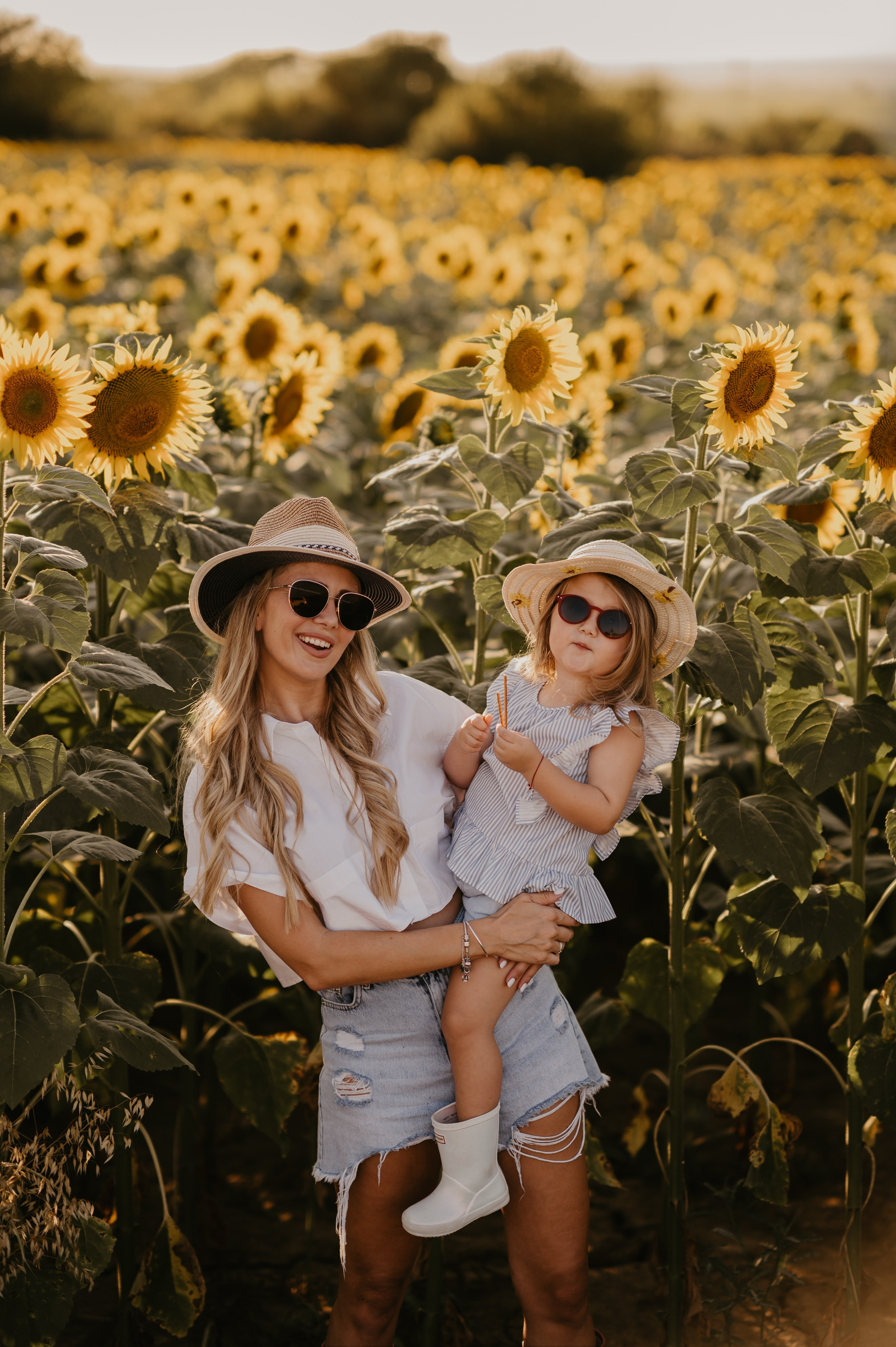 Polje suncokreta. Ana Sladojevic