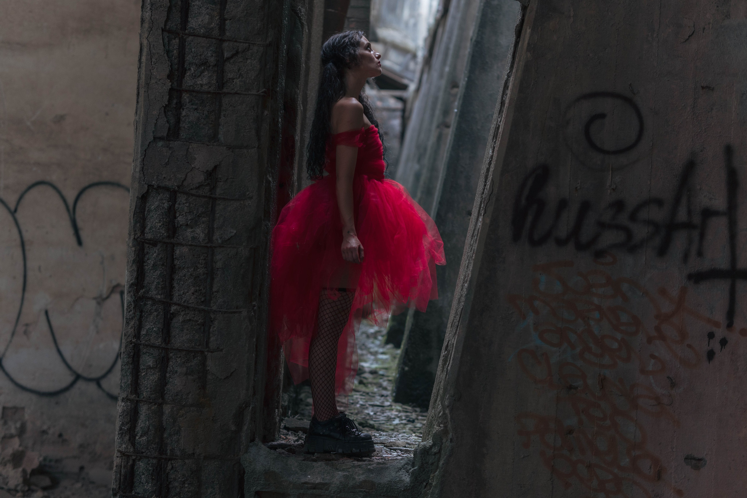 Dani. Alba del Norte Studio