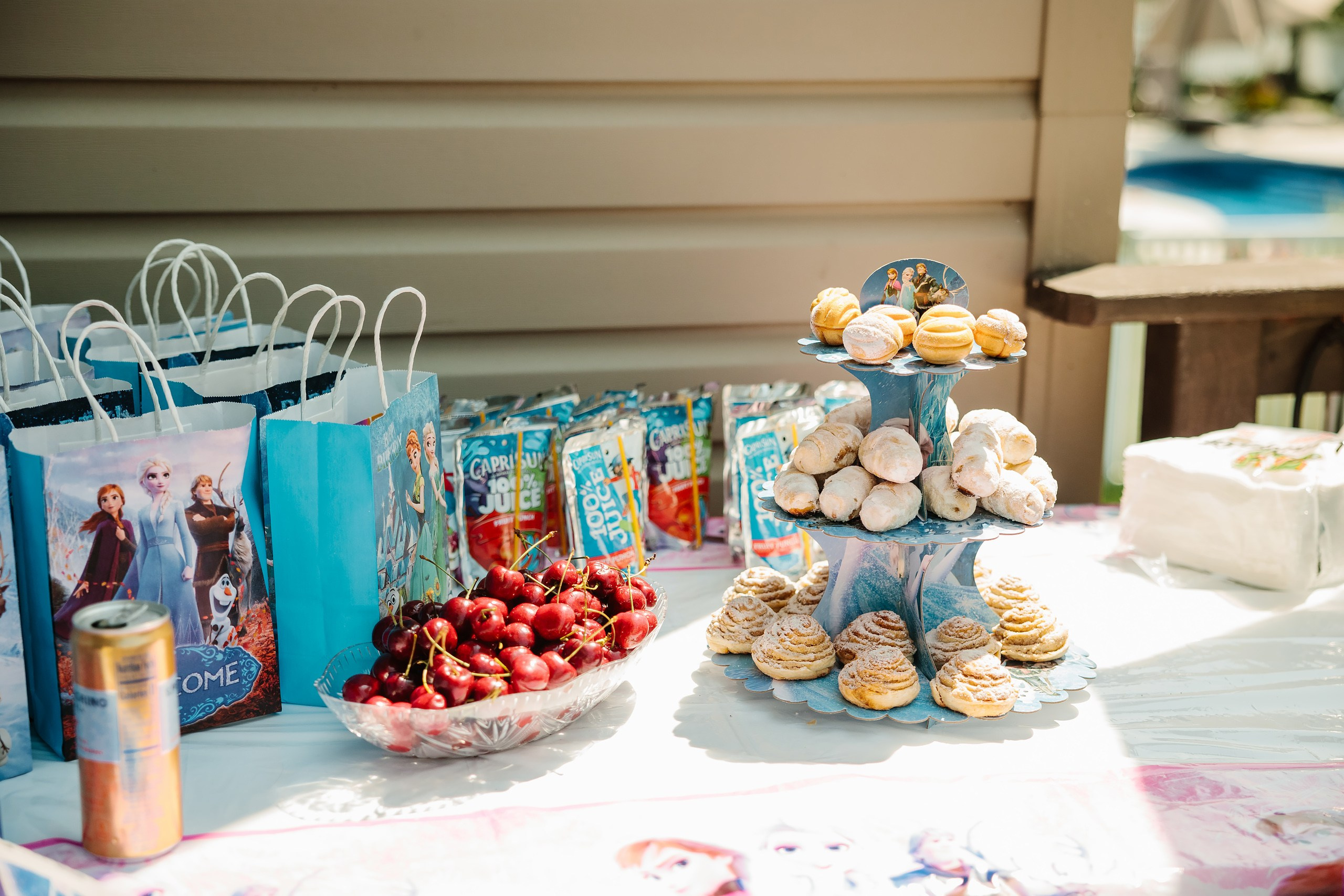 07.27.2024 Birthday Party. Wedding family event photographer in Chicago Nick Yushevich