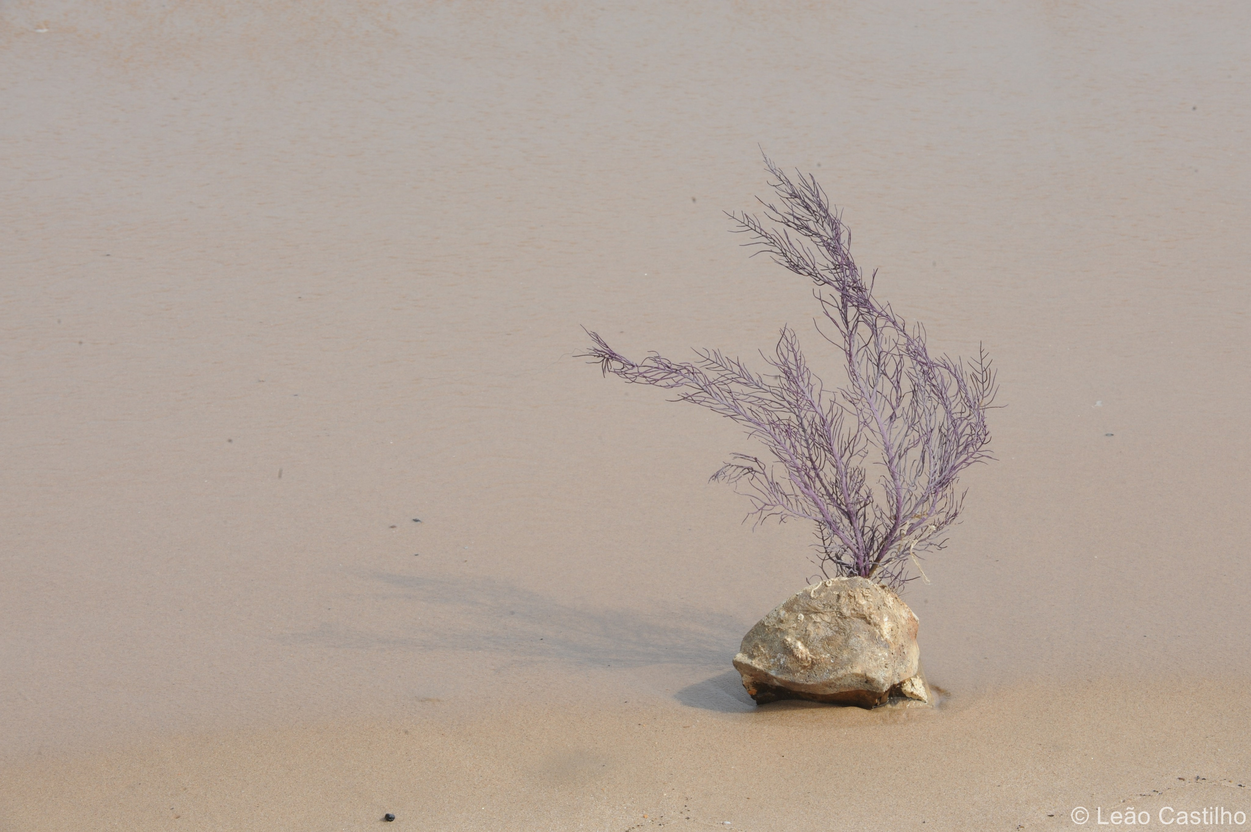 Photos from Angola. Simbahalu