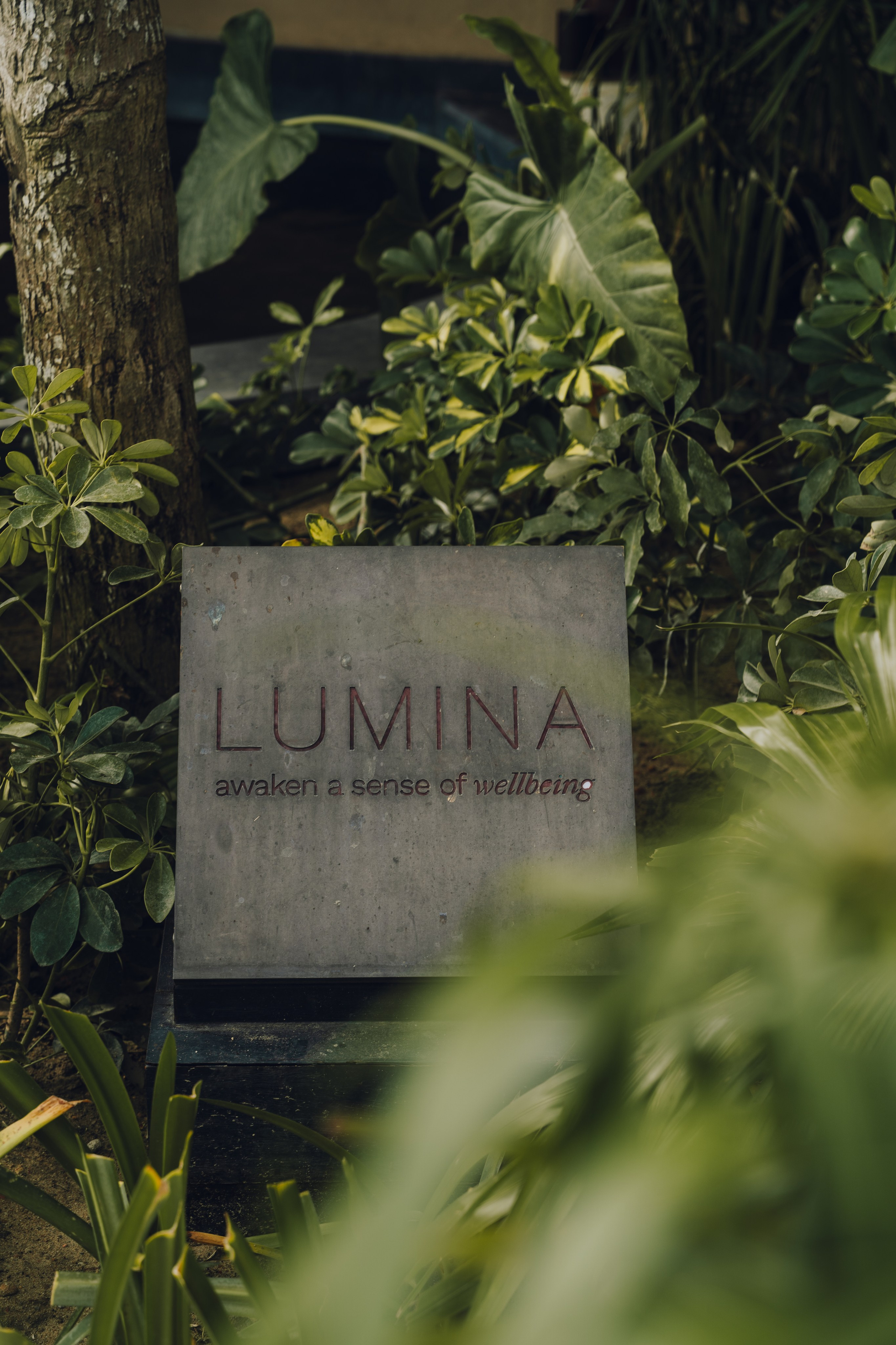 Namia Retreat, Small Luxury Hotels, Vietnam. Editorial photographer Yuliya Drazdovich