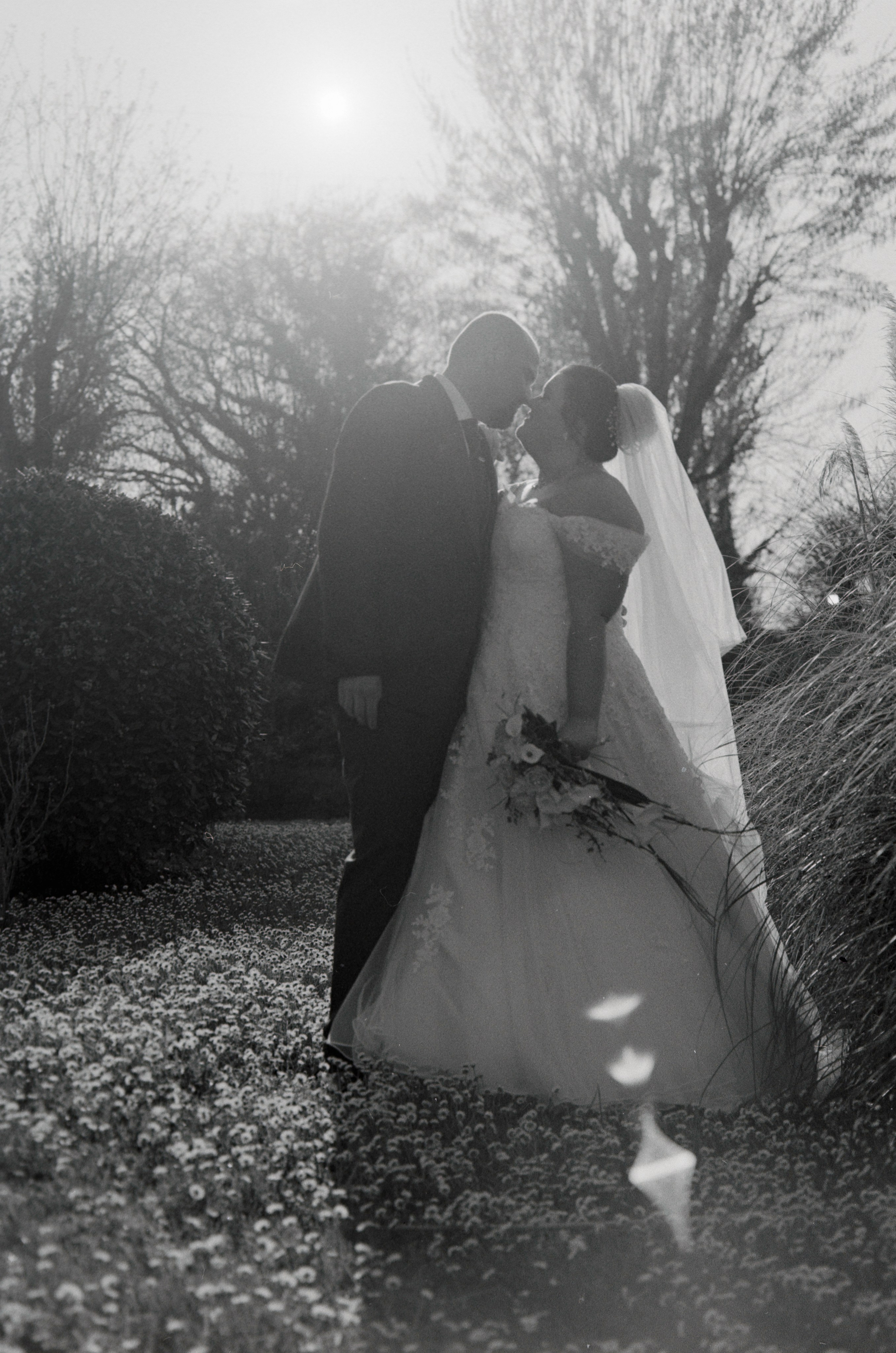 Medio formato - Mamiya. Fotografia e video