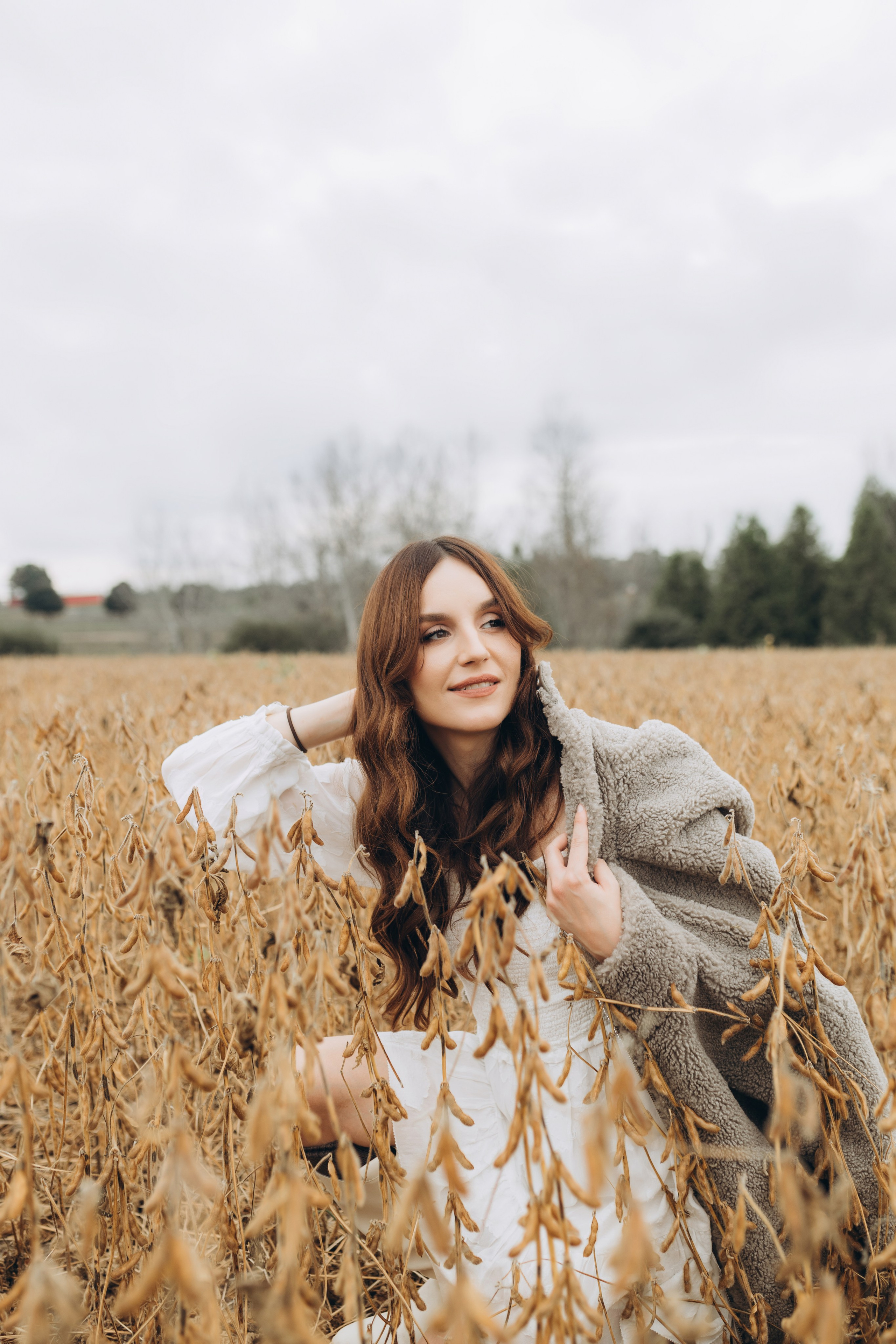 Alpacas Farm. Chernenko.photography
