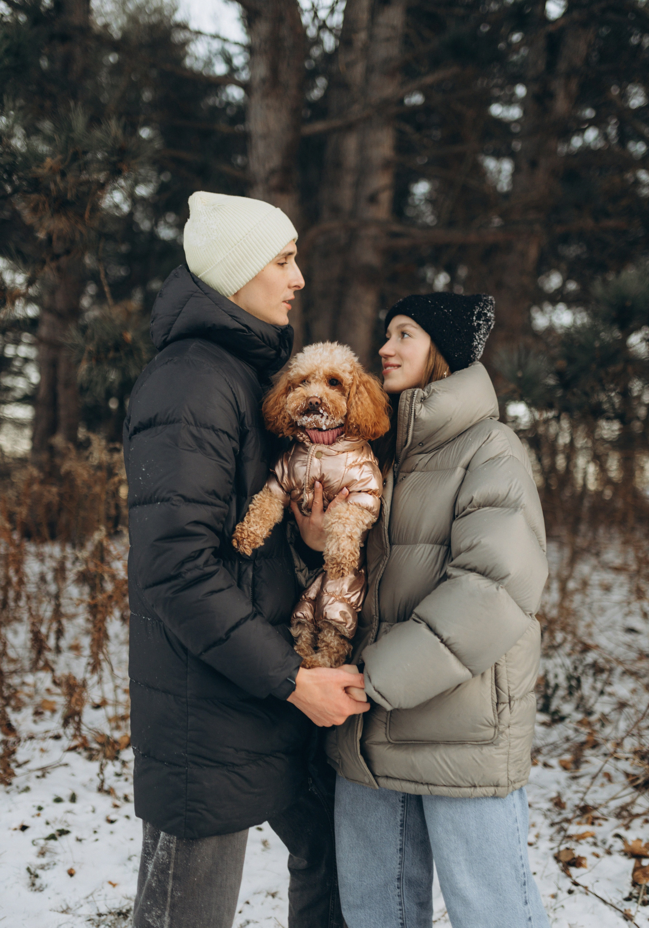 Winter magic. Chernenko.photography
