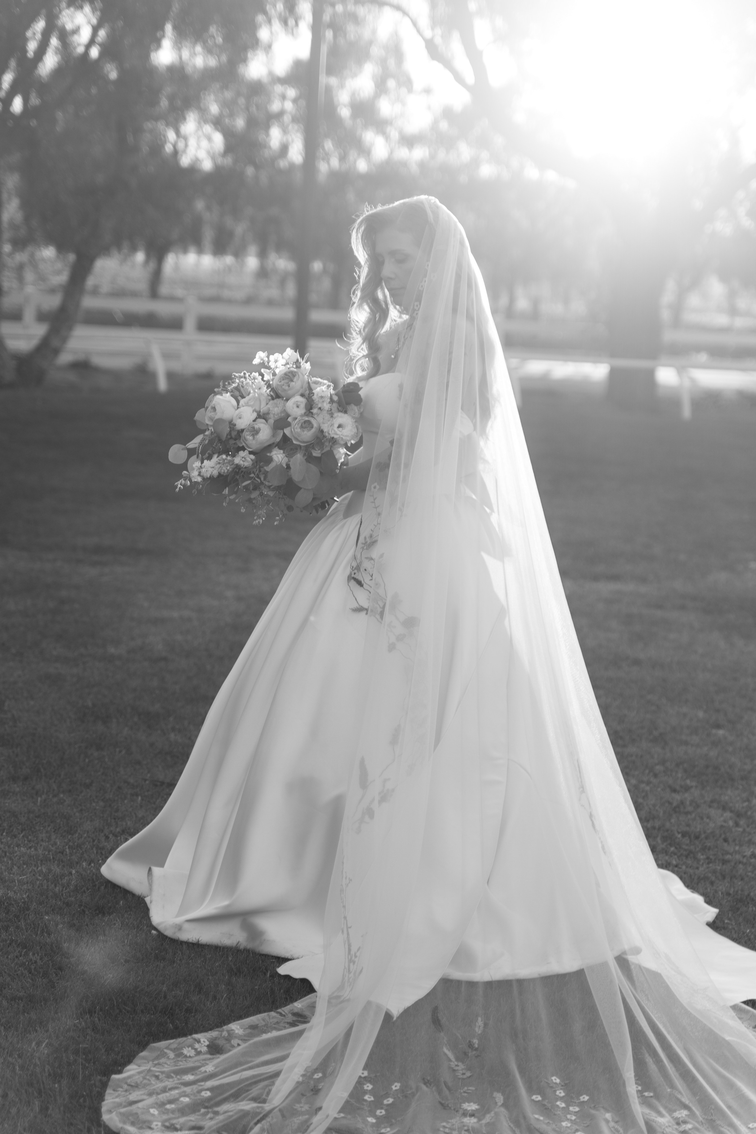 Mark & Caroline. Babich Weddings