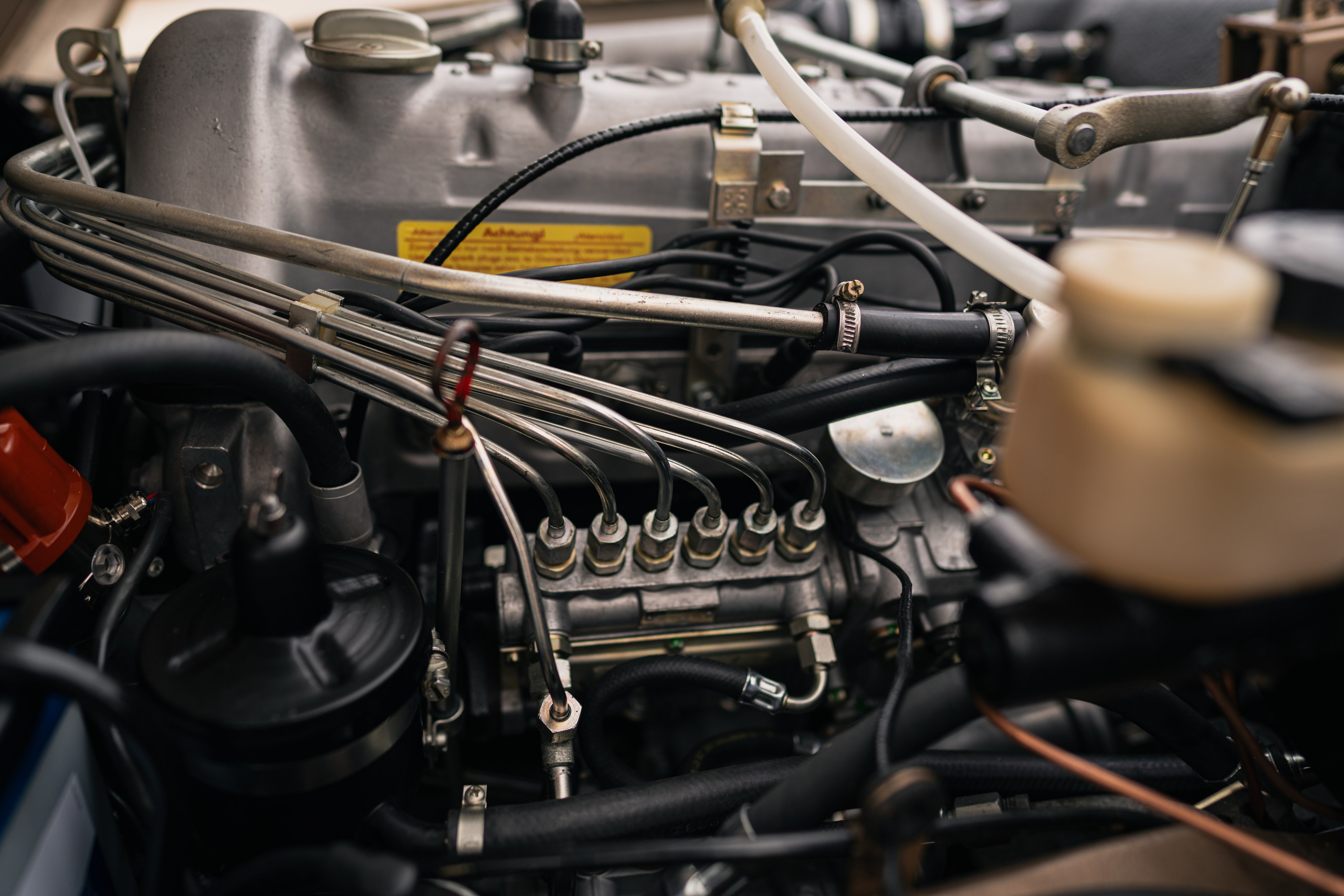 Vappuparaati 2024. Natasha Shakh