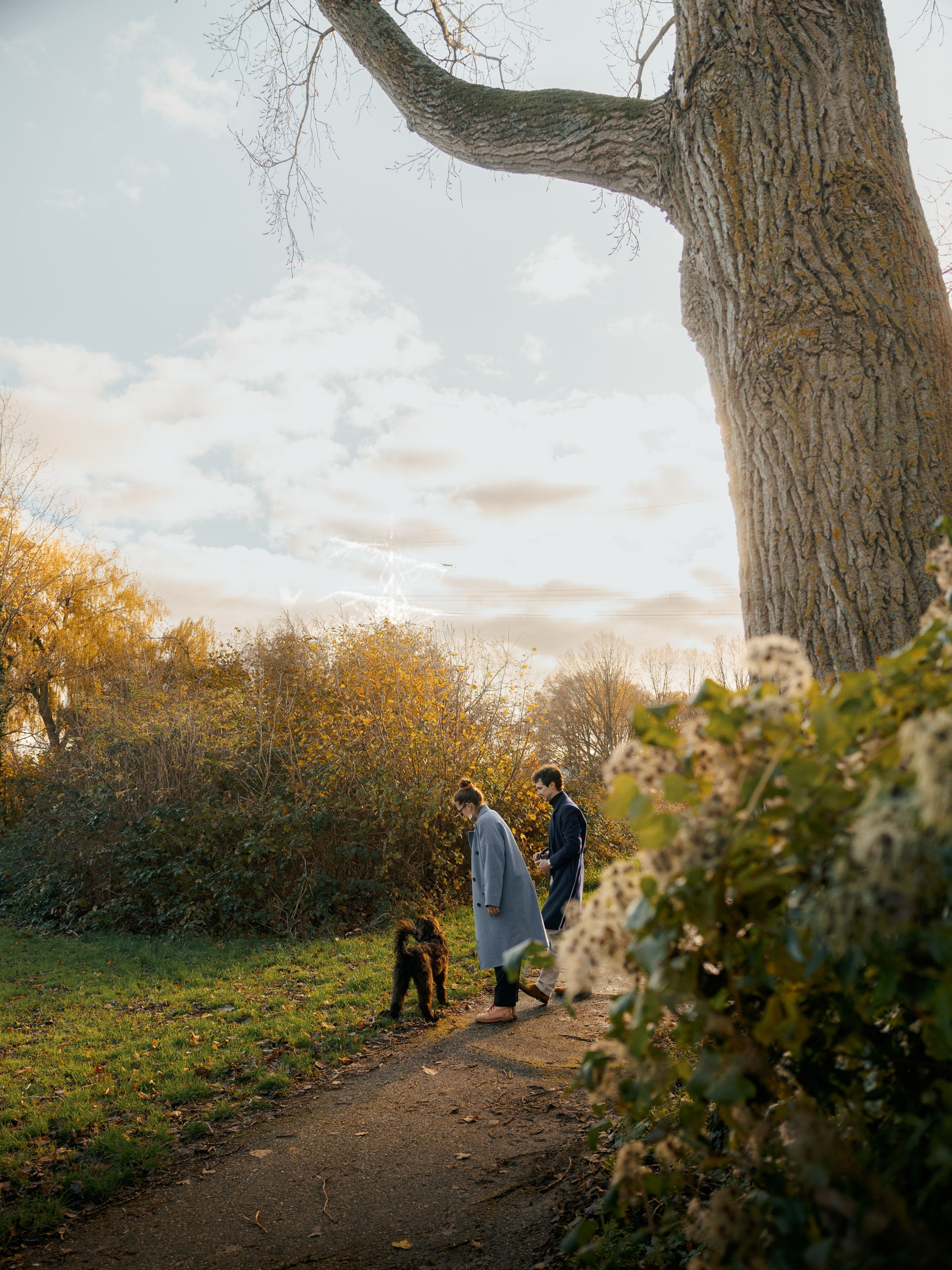 Pet Photoshoot in Spijkenisse | Rotterdam. Romantic & Soulful Photography by Natalia Olhova in Rotterdam