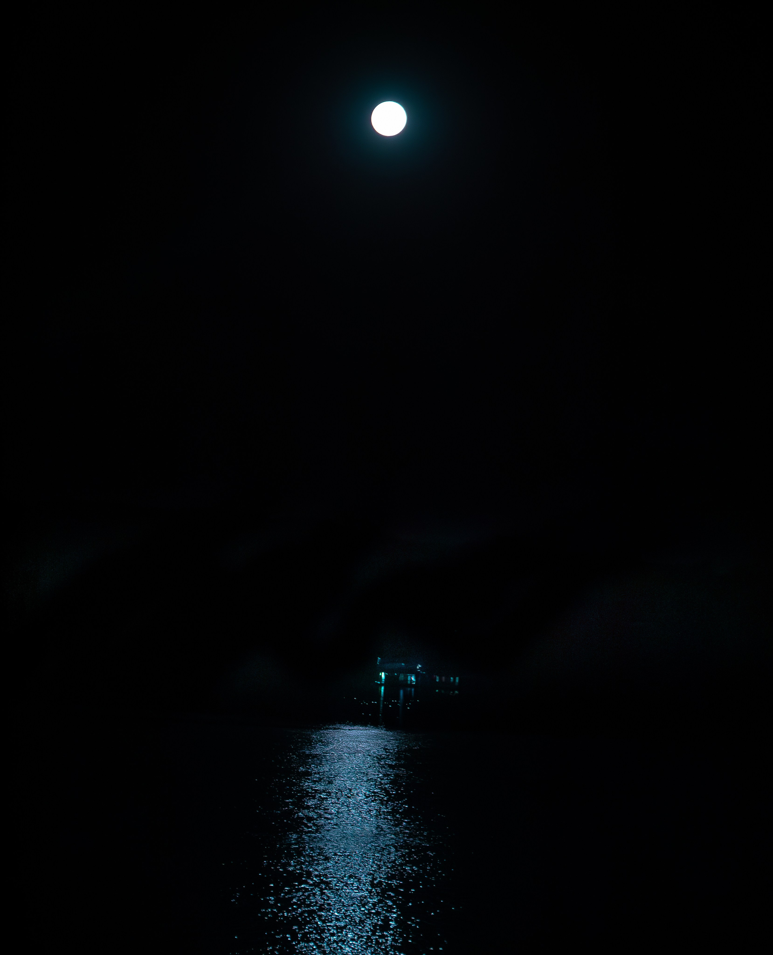 Portrait & Lifestyle