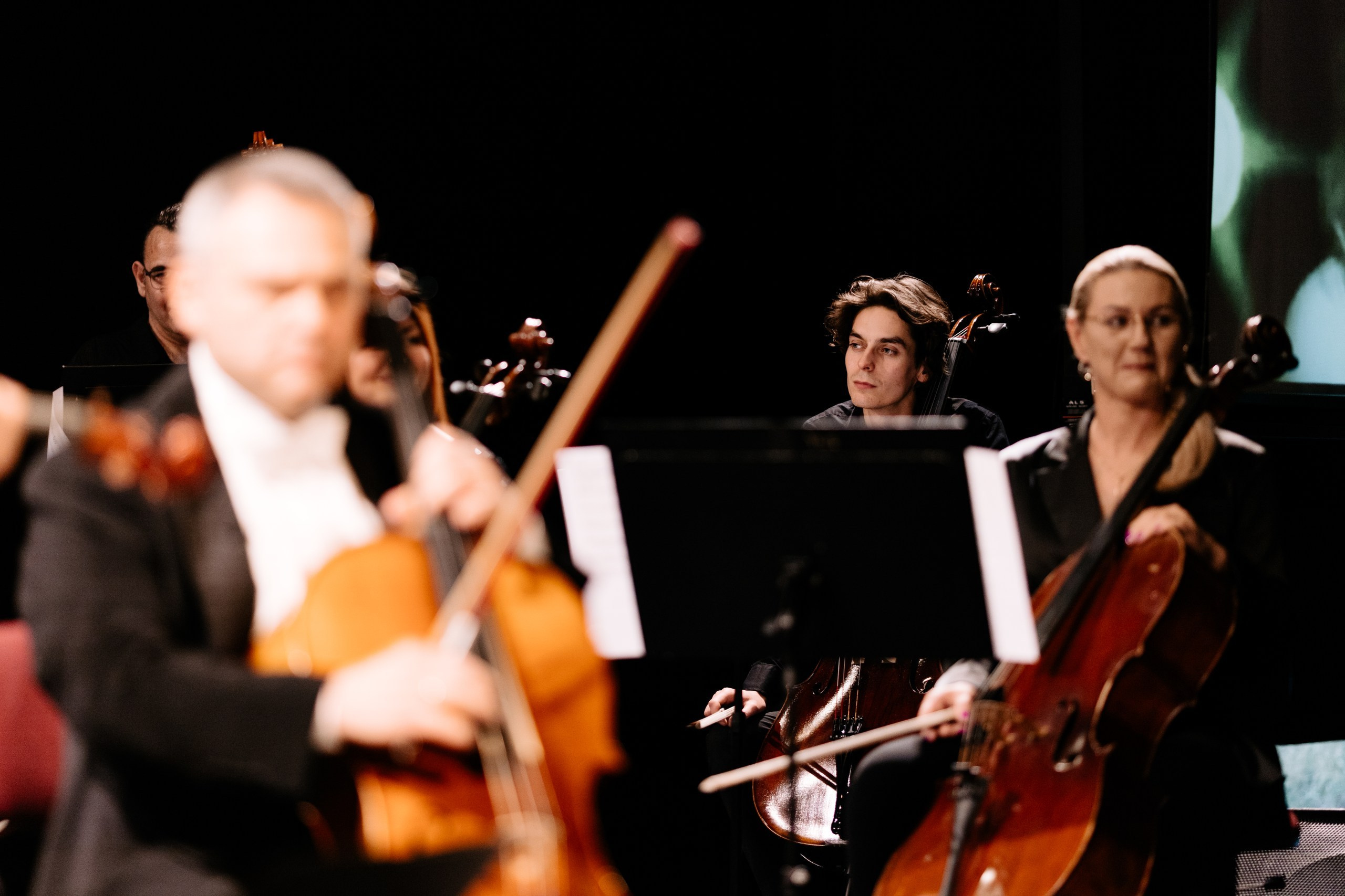 Mocarta Trio. Fotograf Ślubny Warszawa - Sesje Biznesowe Rodzinne Eventy