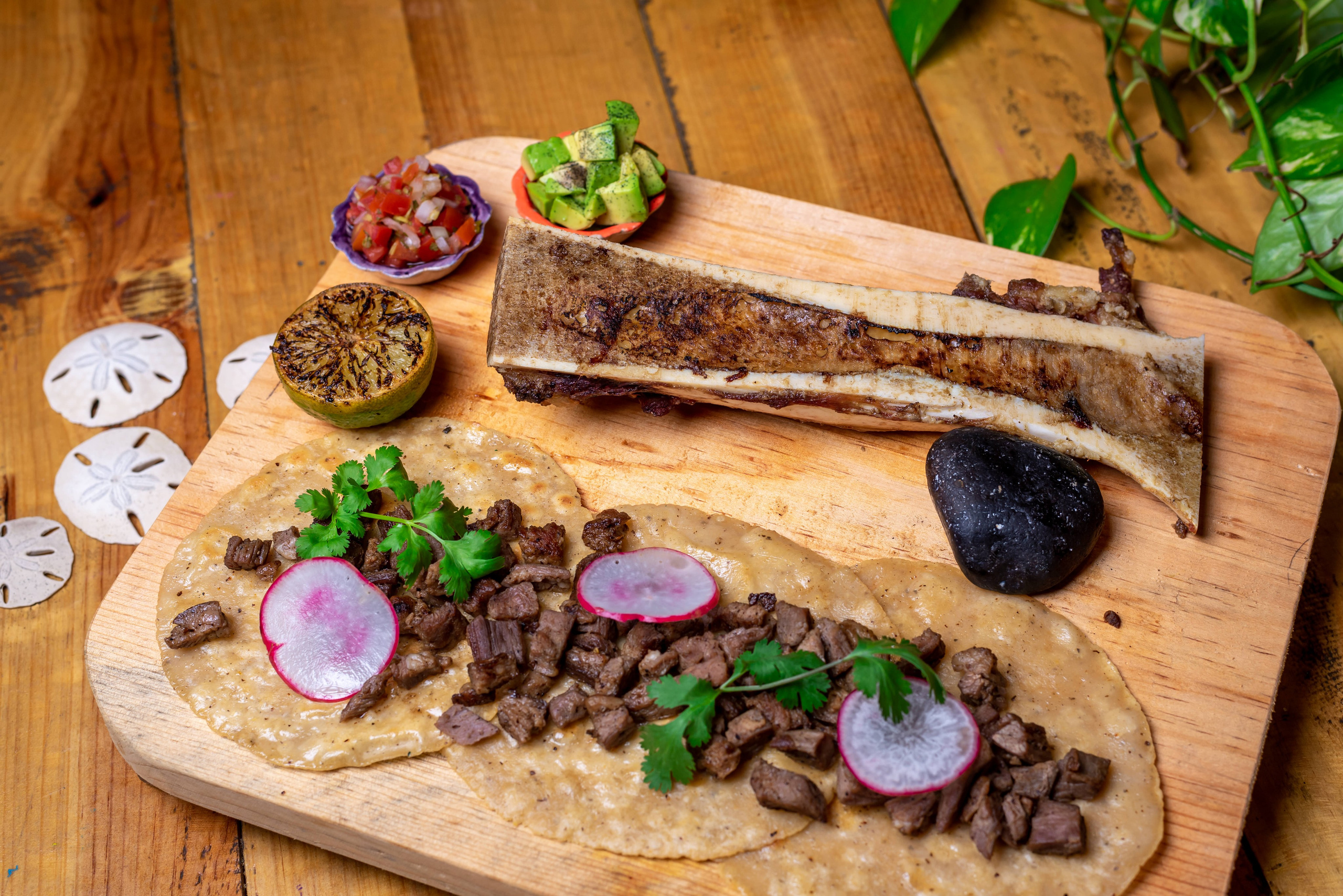 Gastronómica. Fotografía Profesional - Noise Motion