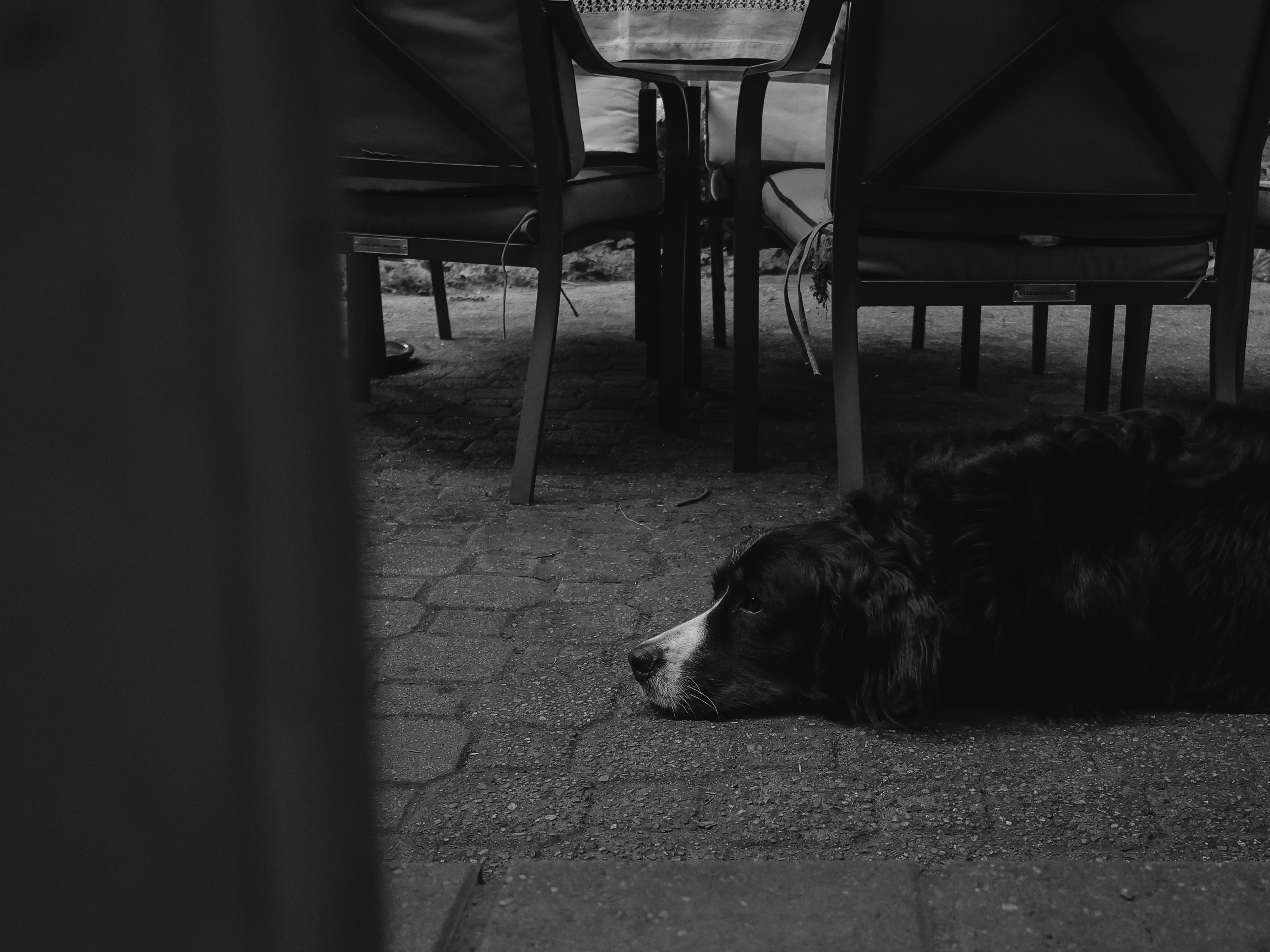 Family time. Yana Bobrova | Artistic Photography