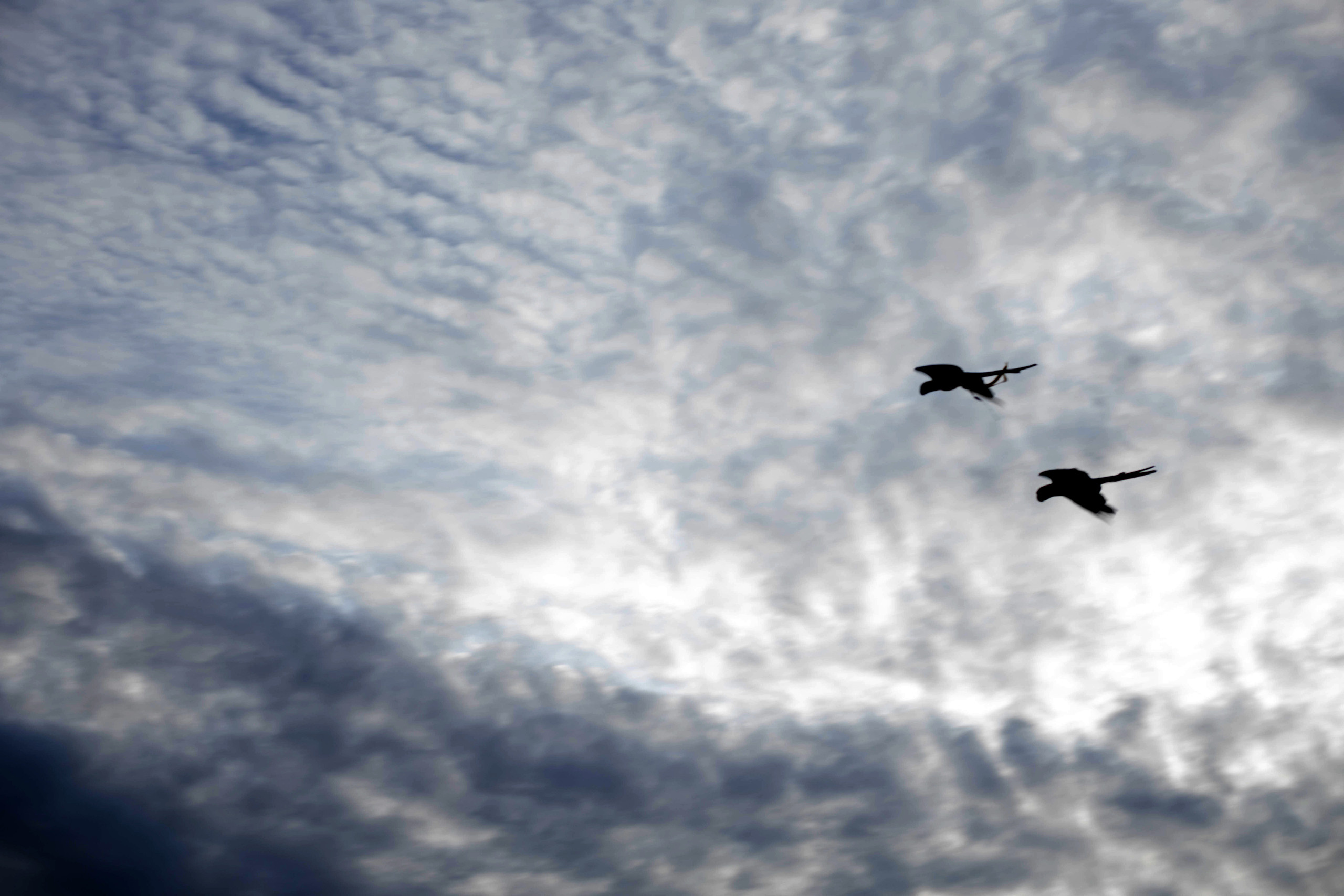 Nadi. Photography in Singapore