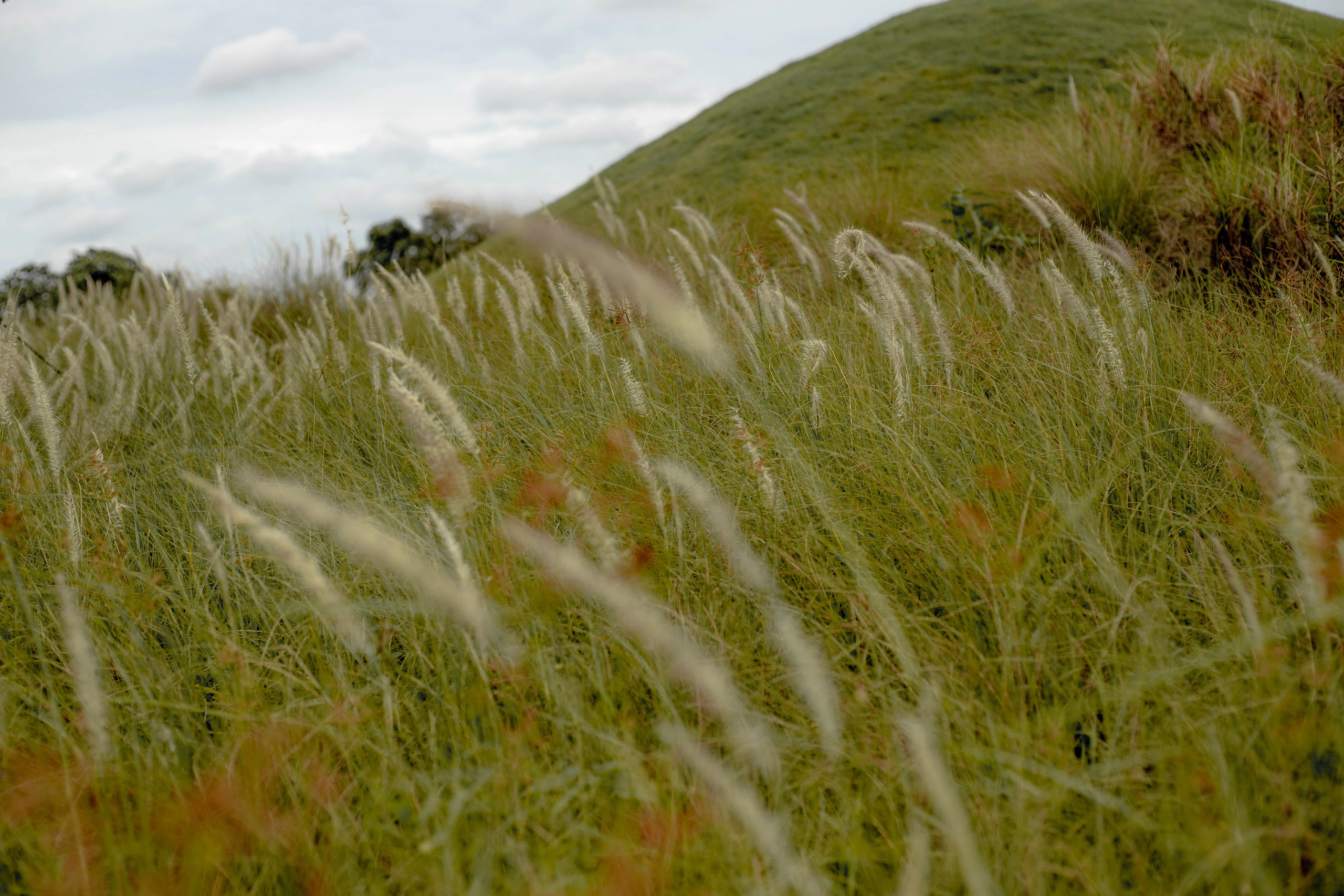 Nadi. Photography in Singapore