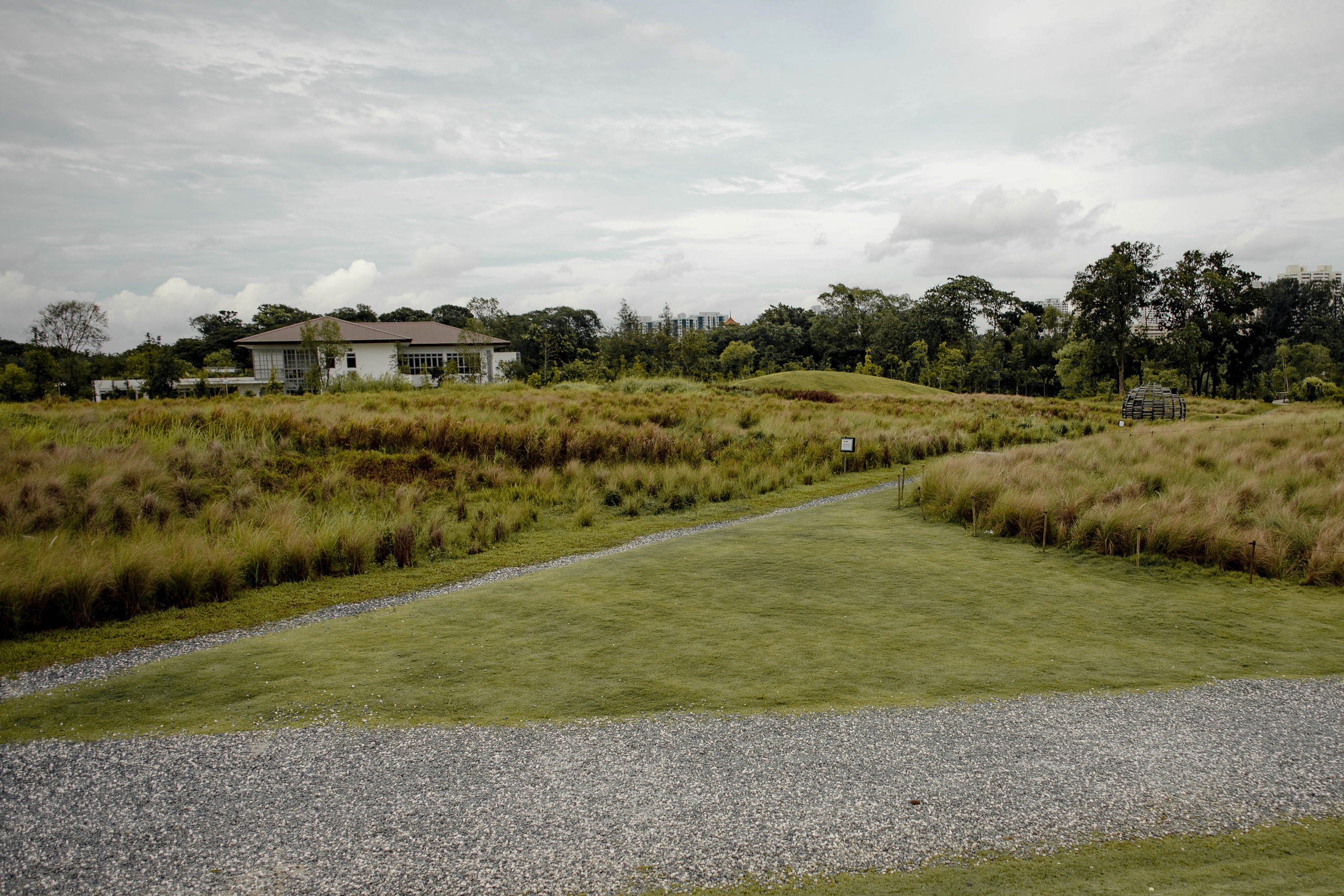 Nadi. Photography in Singapore