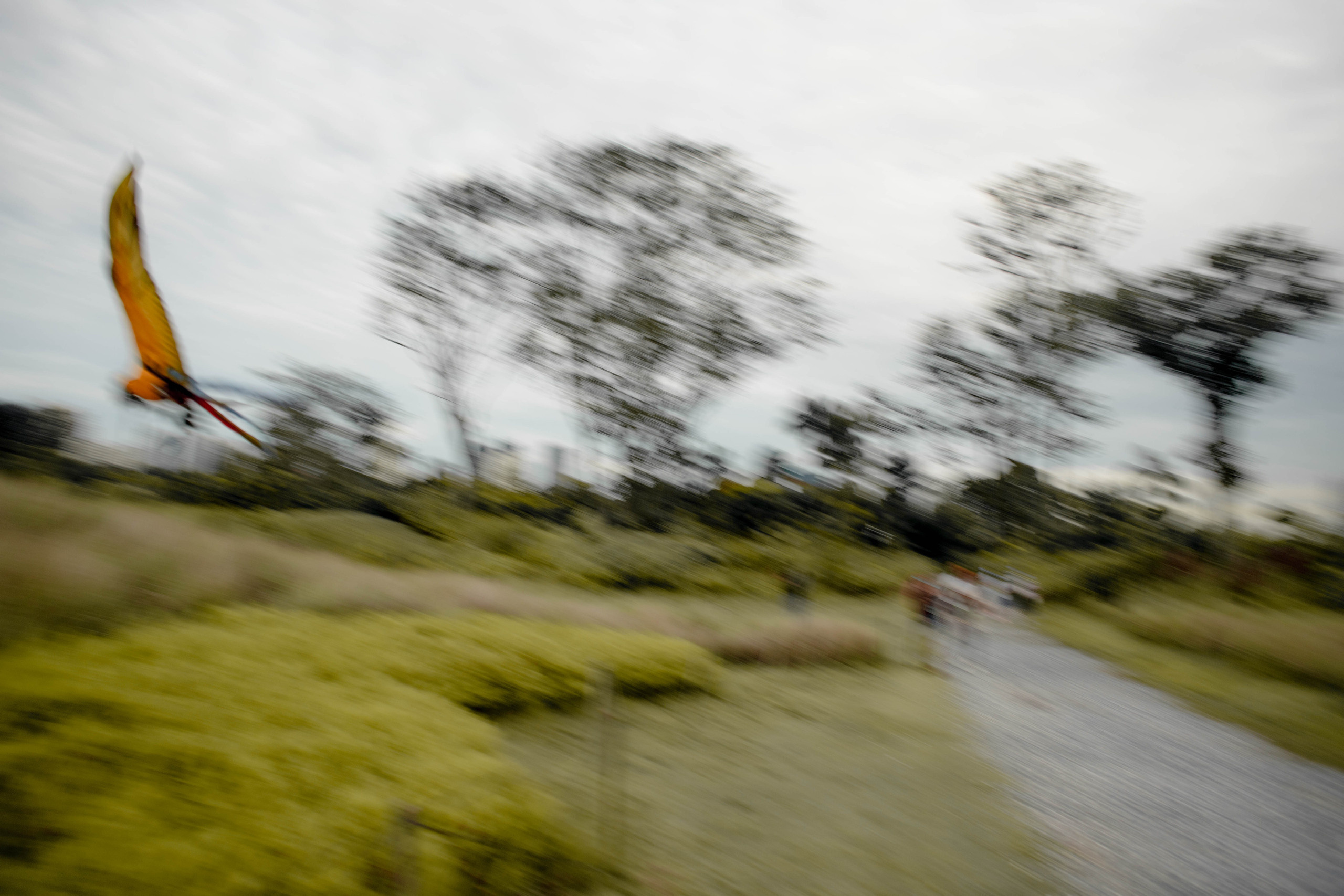 Nadi. Photography in Singapore