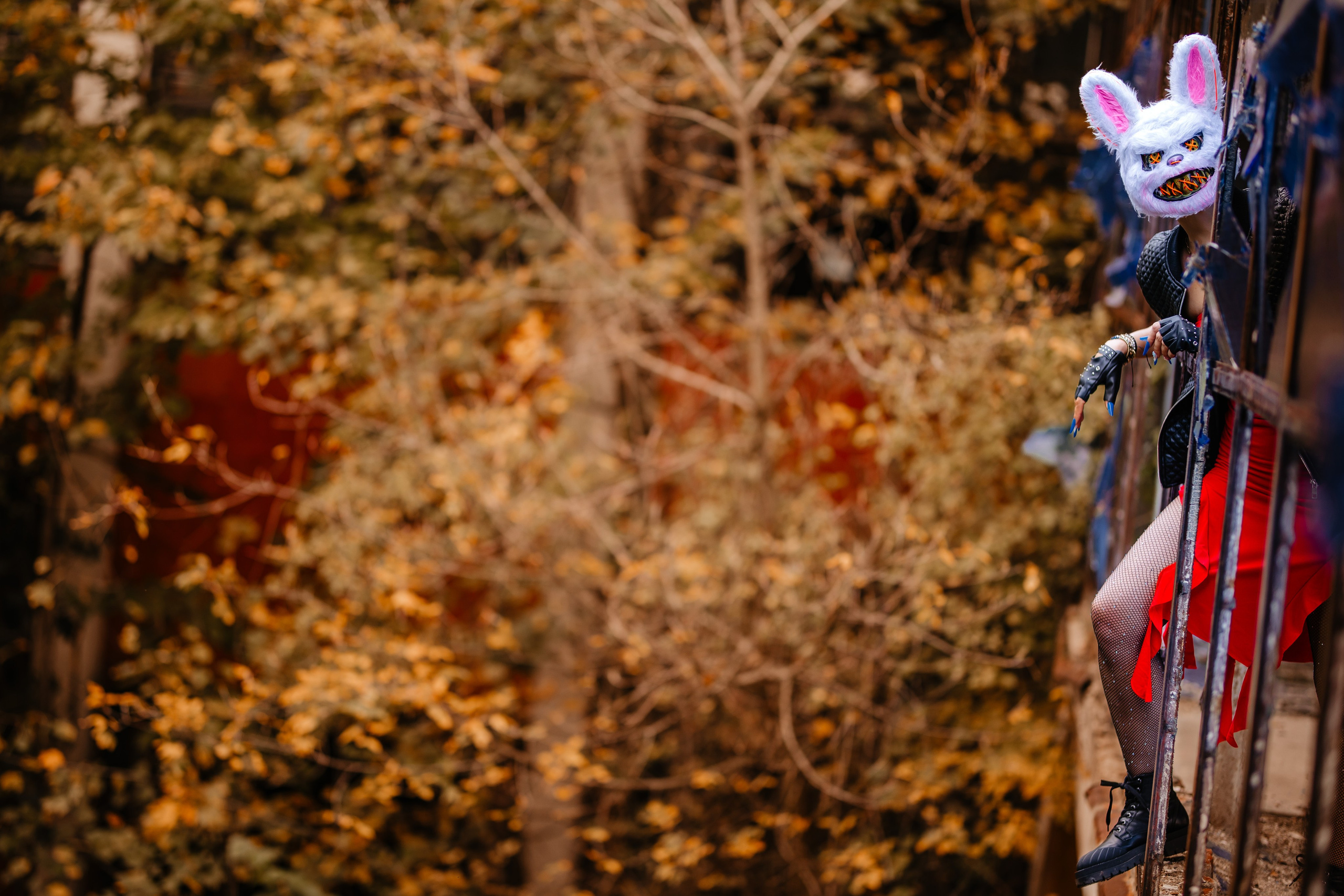 Halloween. Ionut Brehuescu — Fotograf