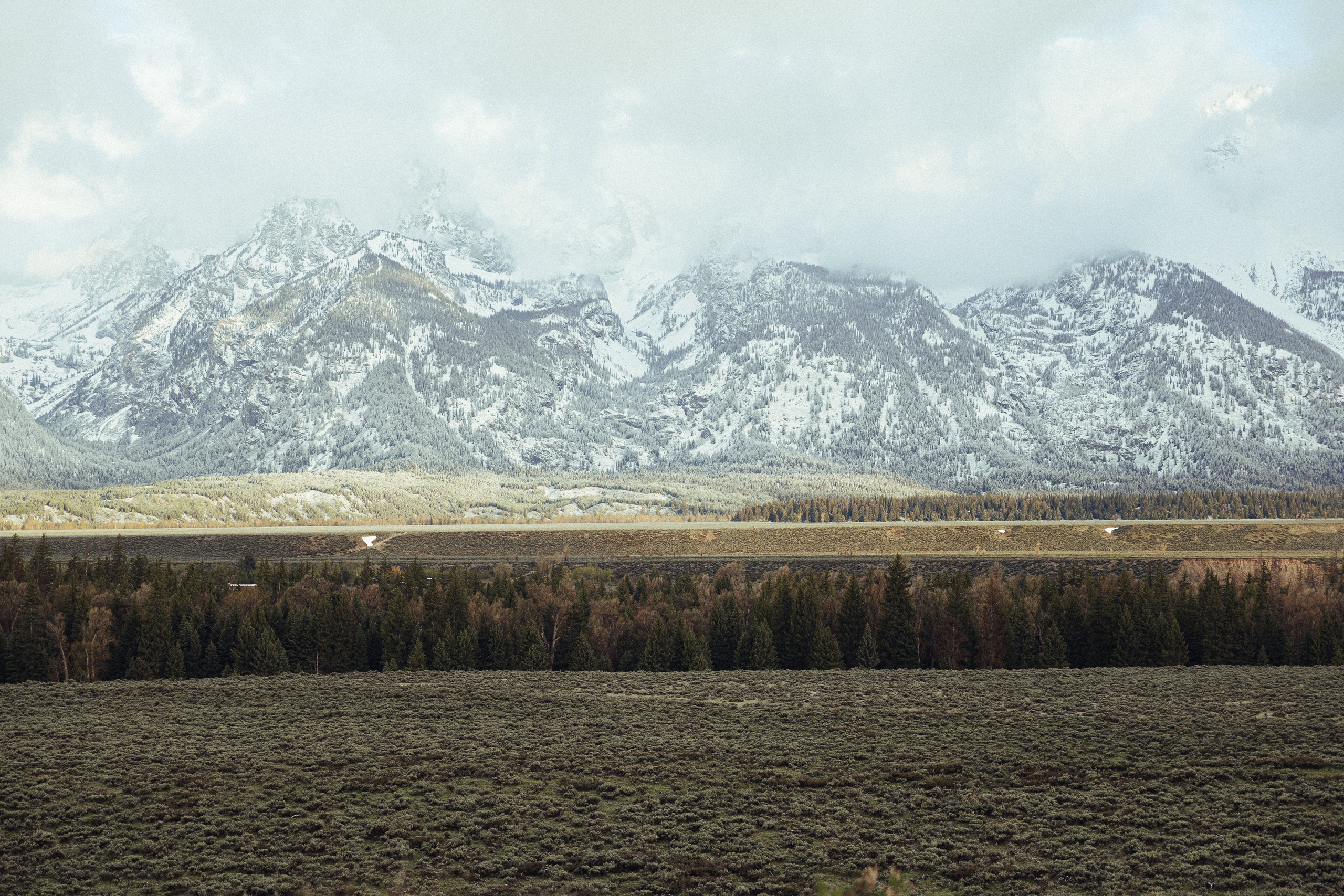 Colby & Hailey | Elopement at Grand Teton
