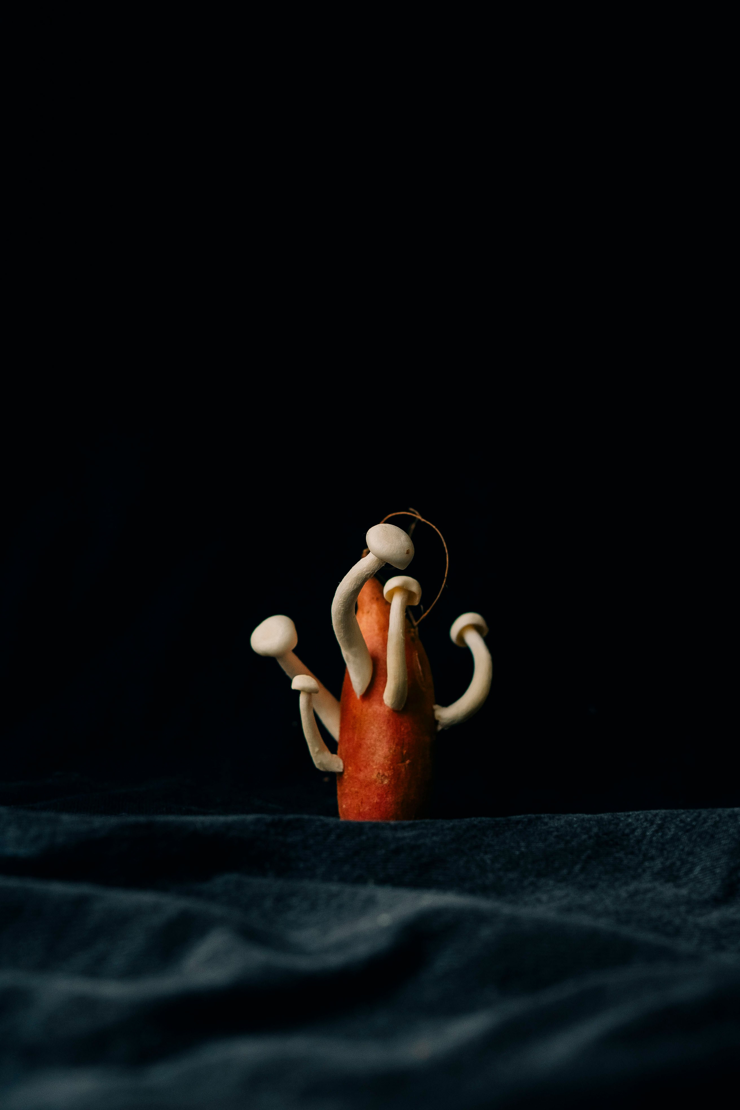 Сюрреалистическая композиция из корнеплодов и грибов. Сюрреалистическая композиция из грибов, растущих из корнеплода на темном фоне.