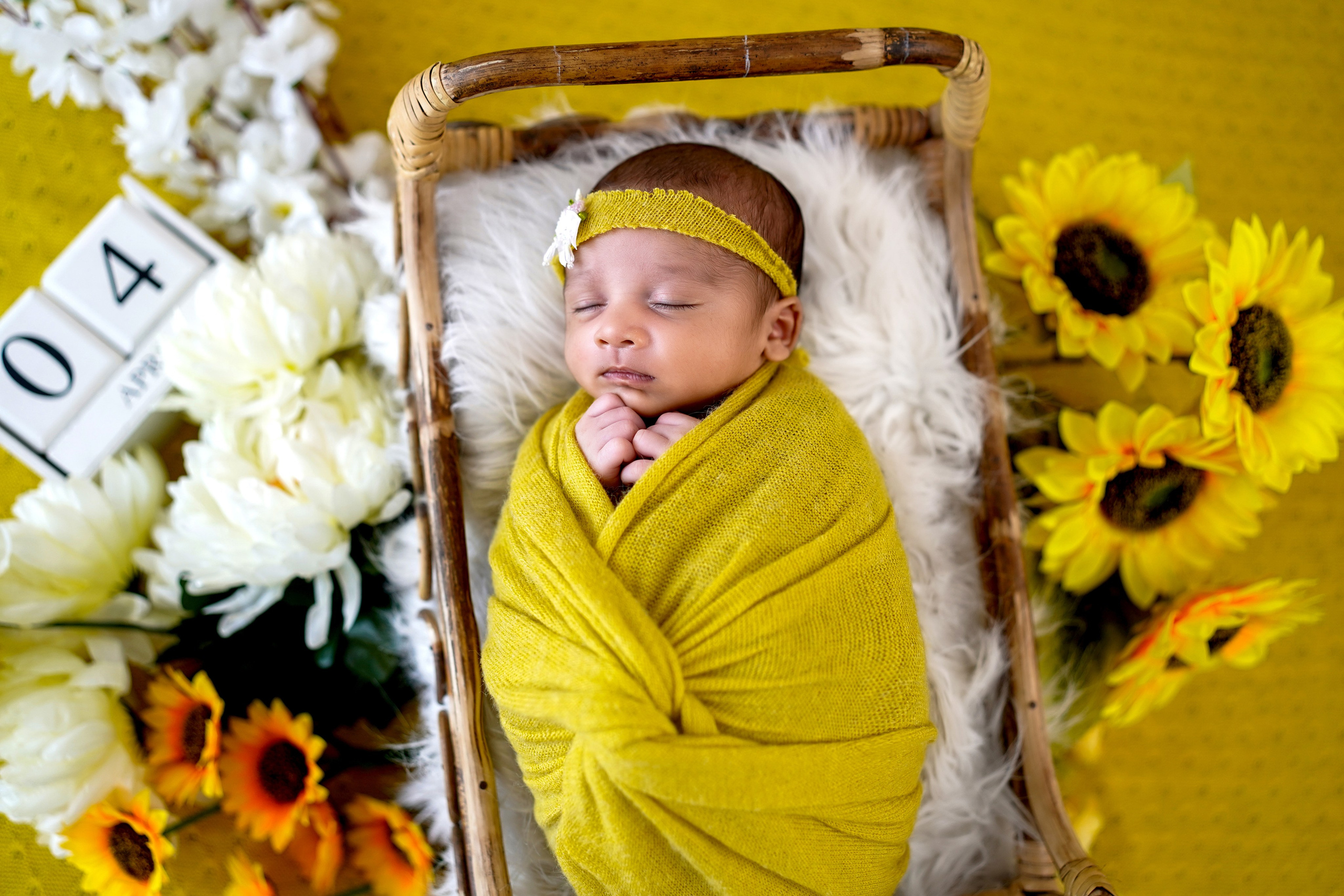 New born. TNF photo & filming