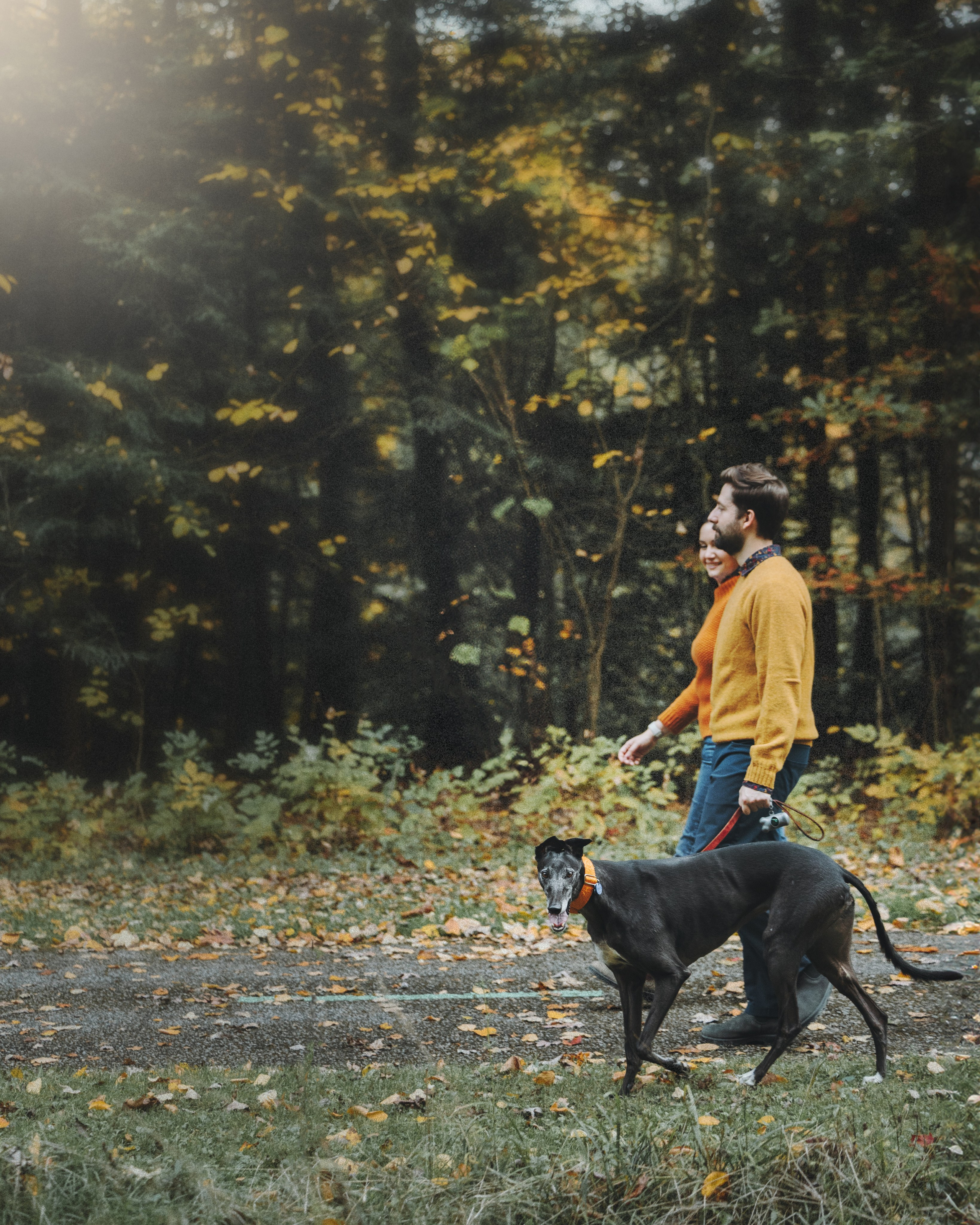 Tilly, Kati & Landon. Pet Photographer Viktoriya Aleshenko