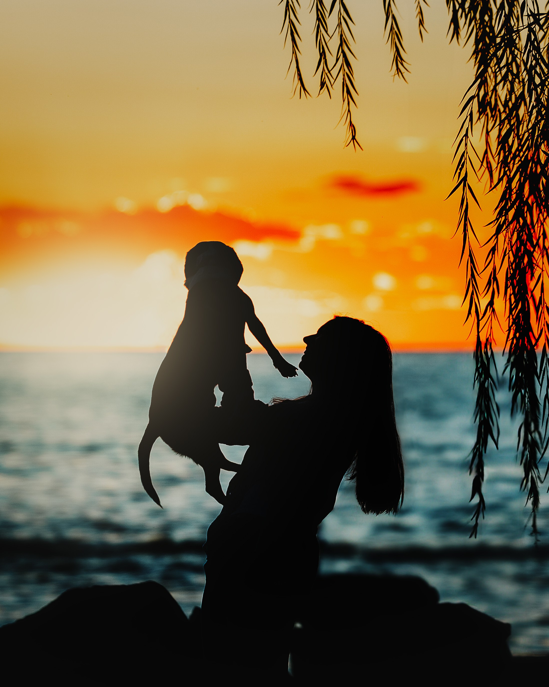 Maxine & Sarah. Pet Photographer Viktoriya Aleshenko